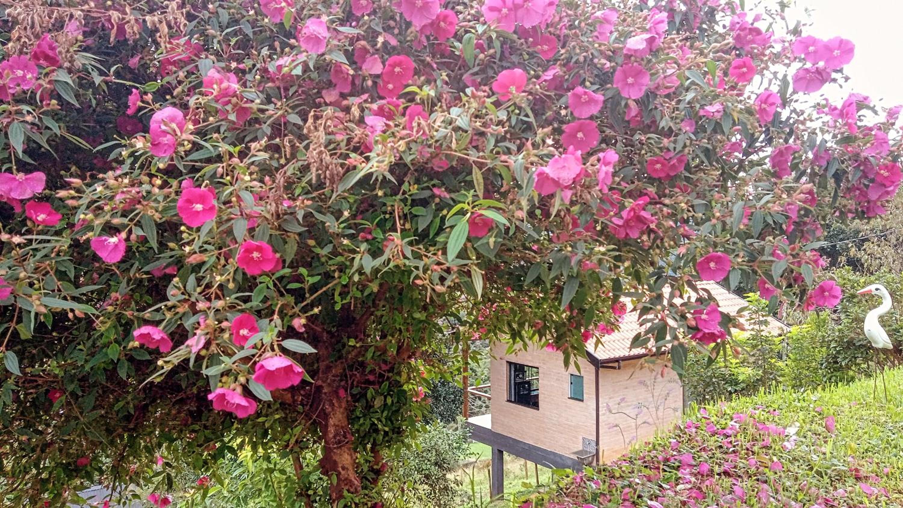 Sonho na Serra Chalé 2