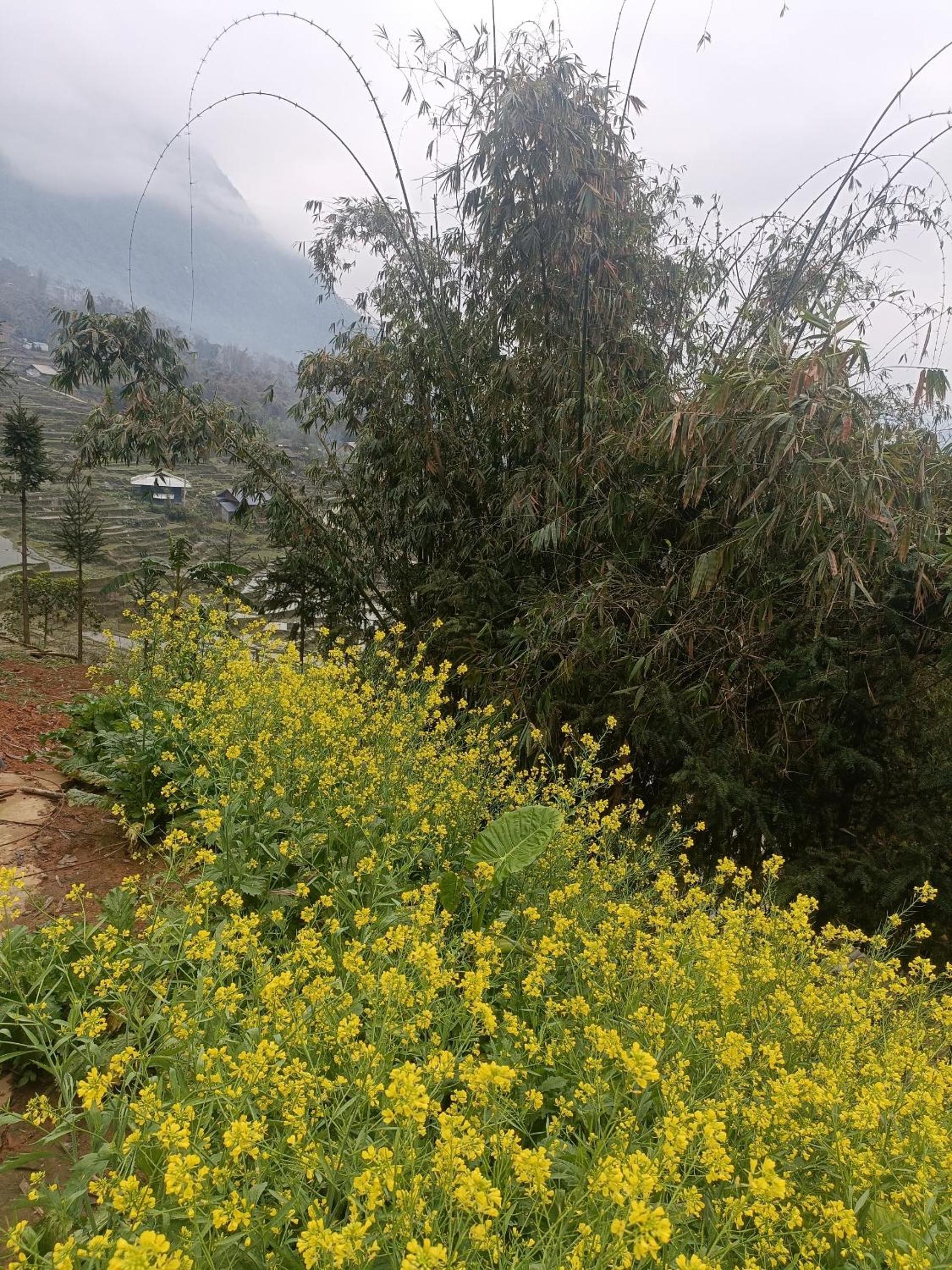 Mao Sapa trekking and homestay 39