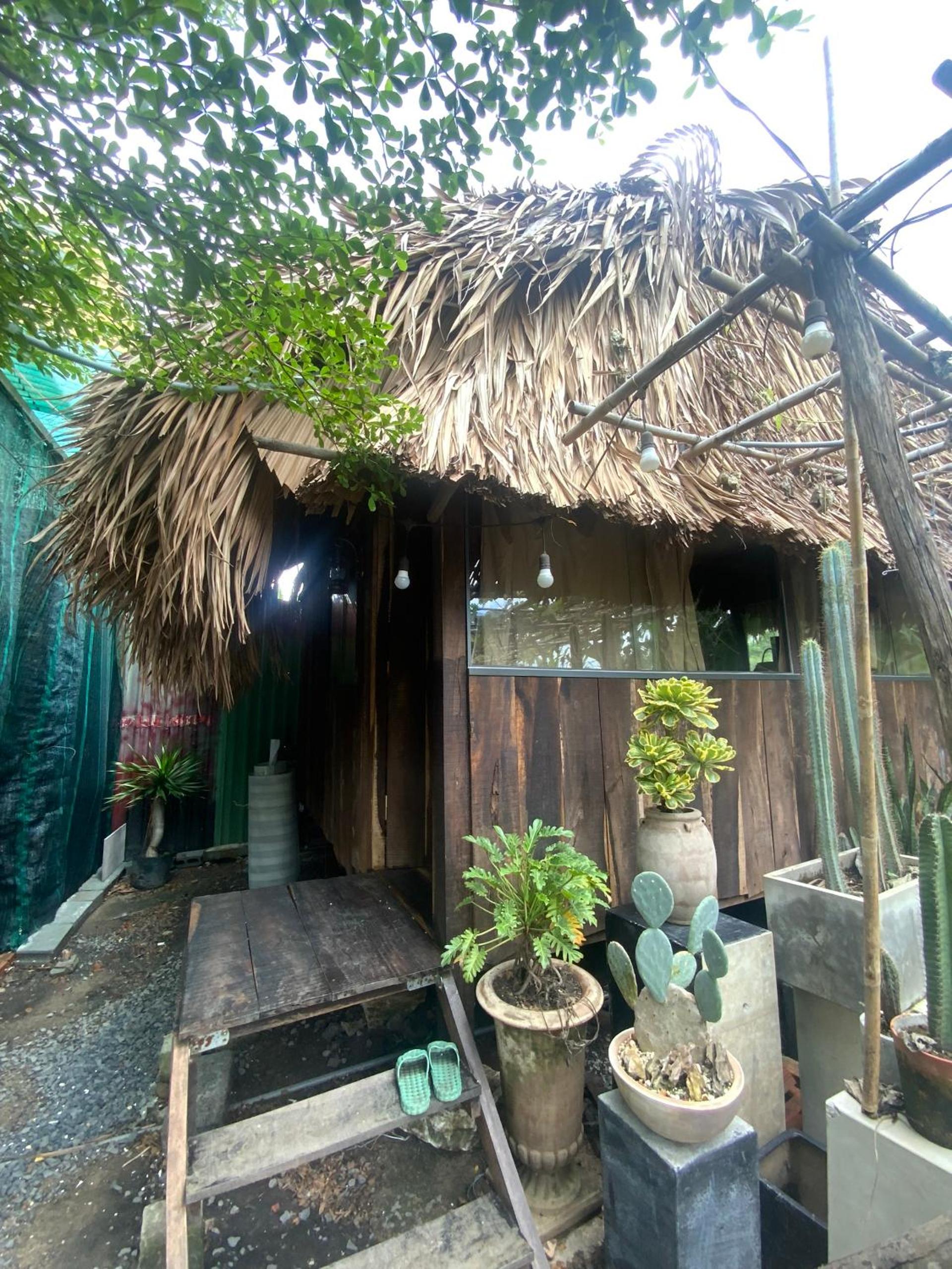 Cactos Chill & Homestay