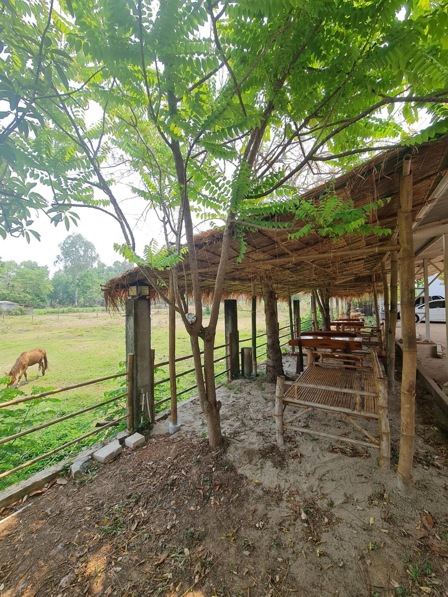 Bualinn Resort