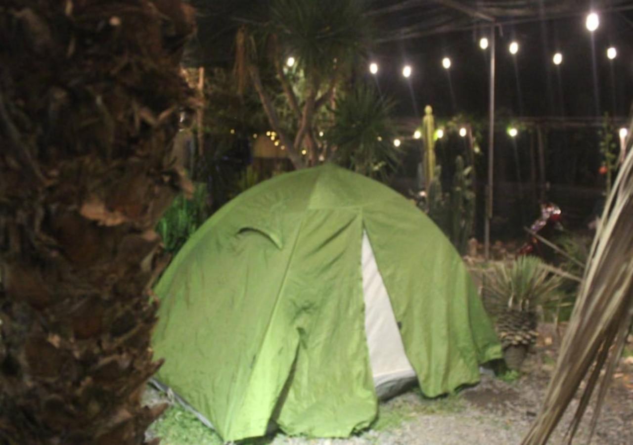 Cactos Chill & Homestay
