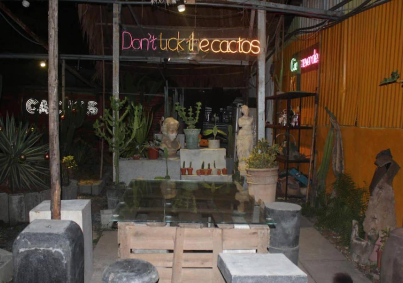 Cactos Chill & Homestay