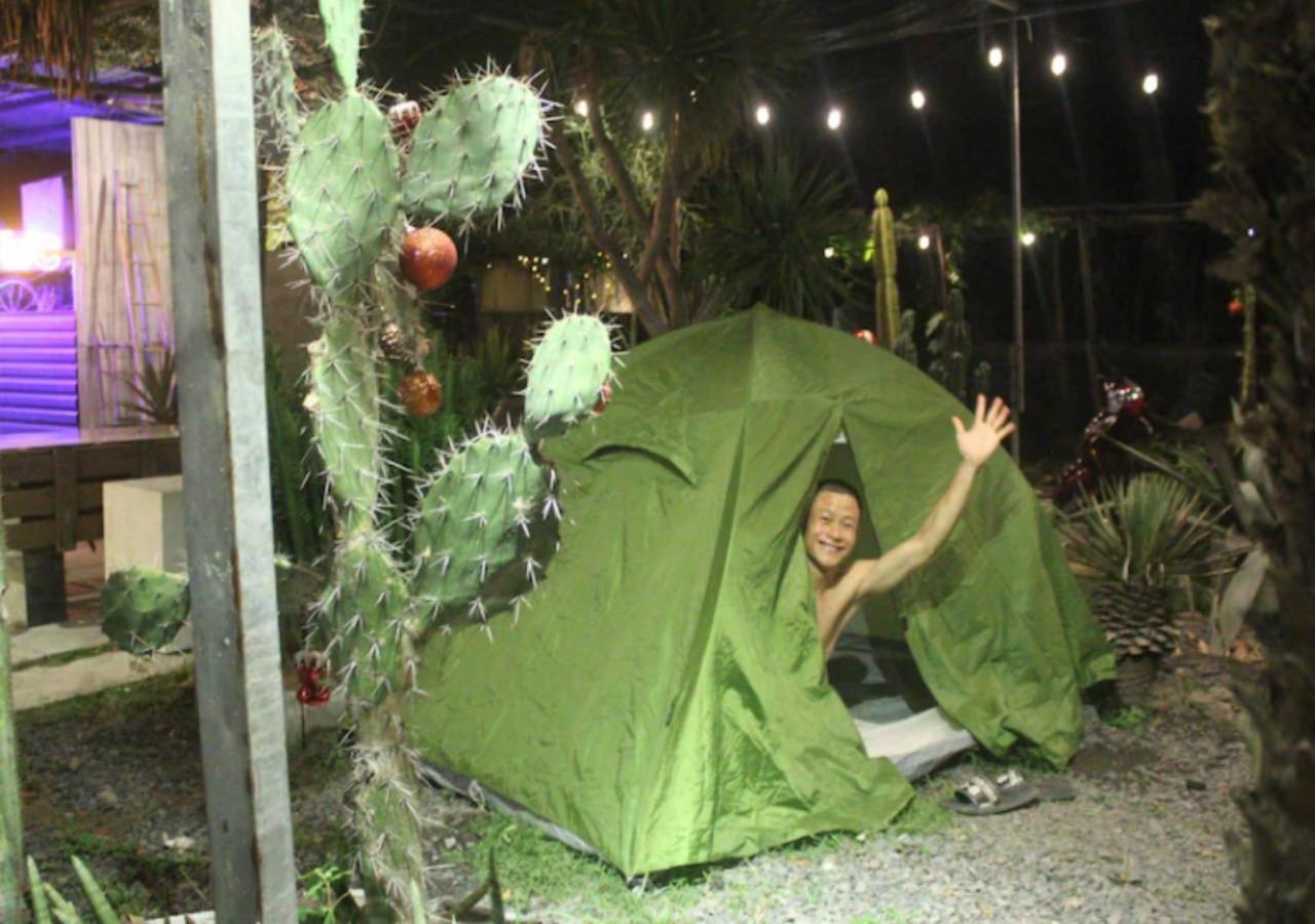Cactos Chill & Homestay