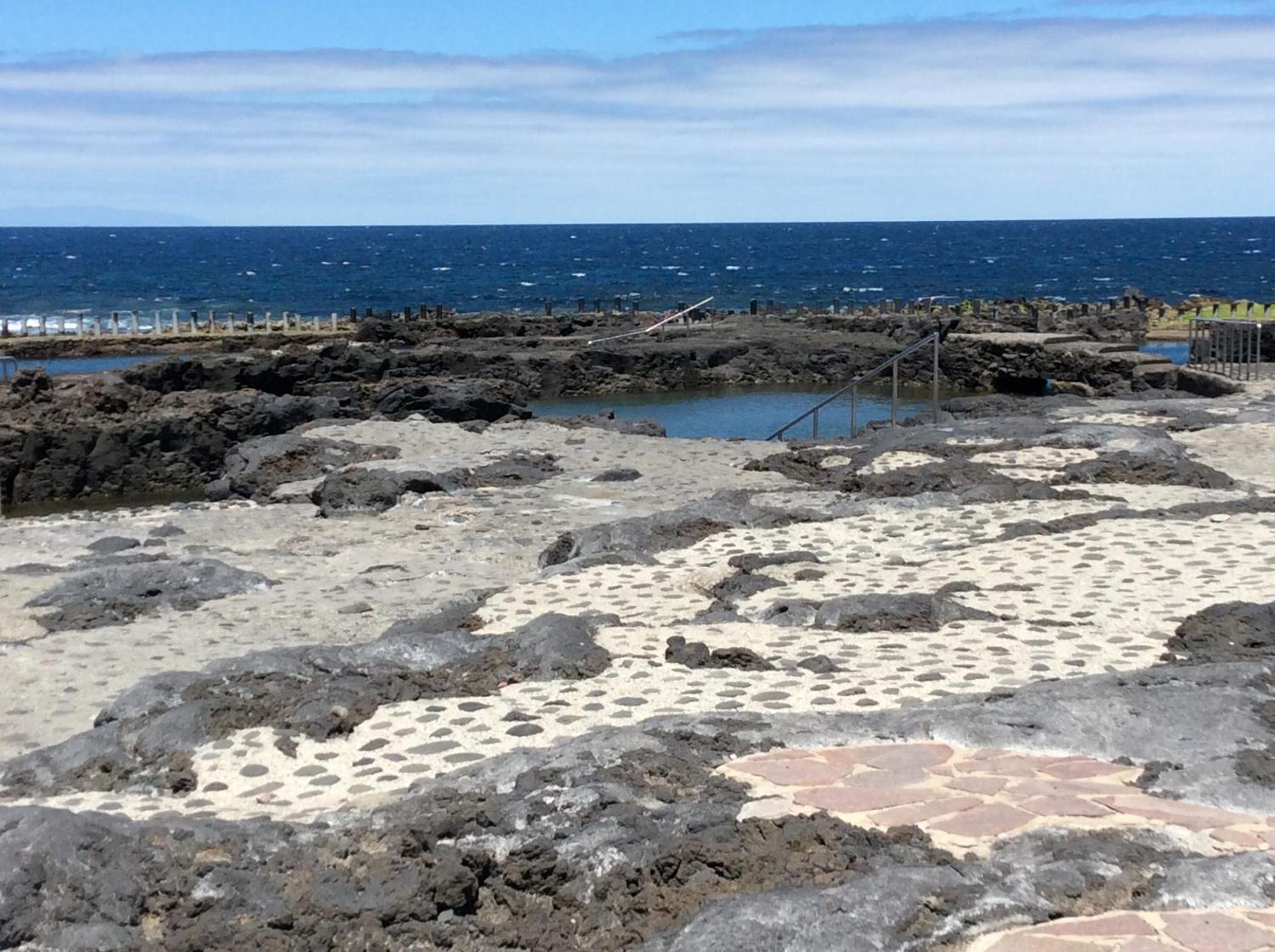 La Palmita de Canarias view 5