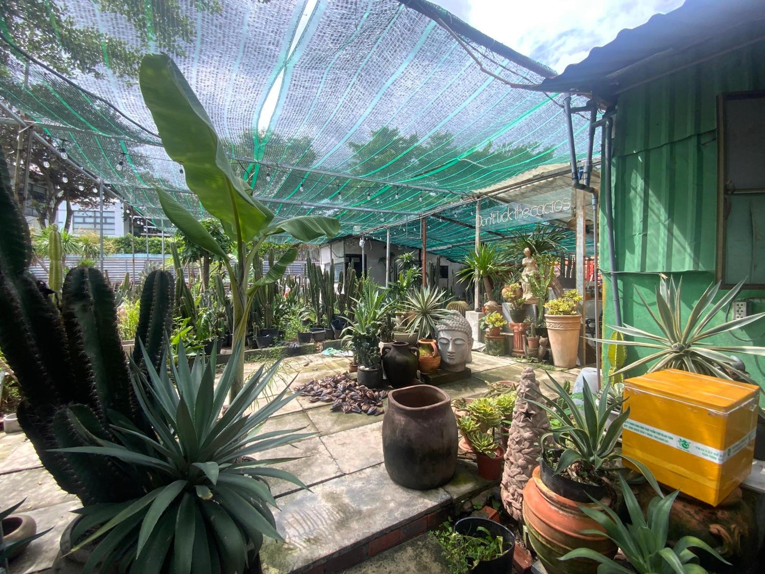 Cactos Chill & Homestay