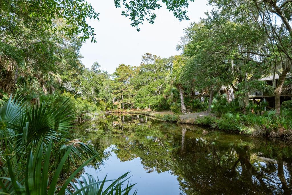 478 Oceanwoods Cottage Lagoon View view 2