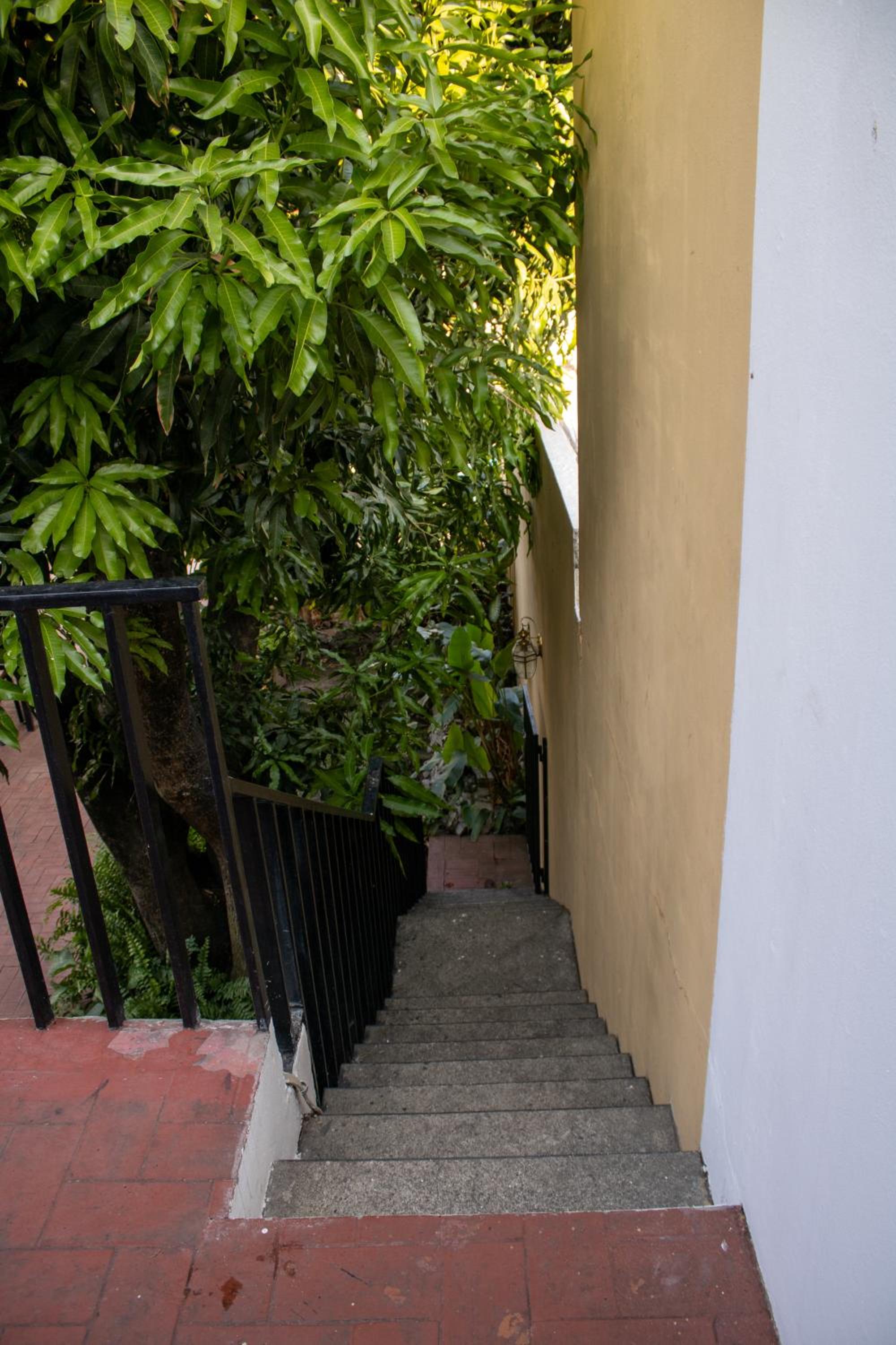 Photo 57