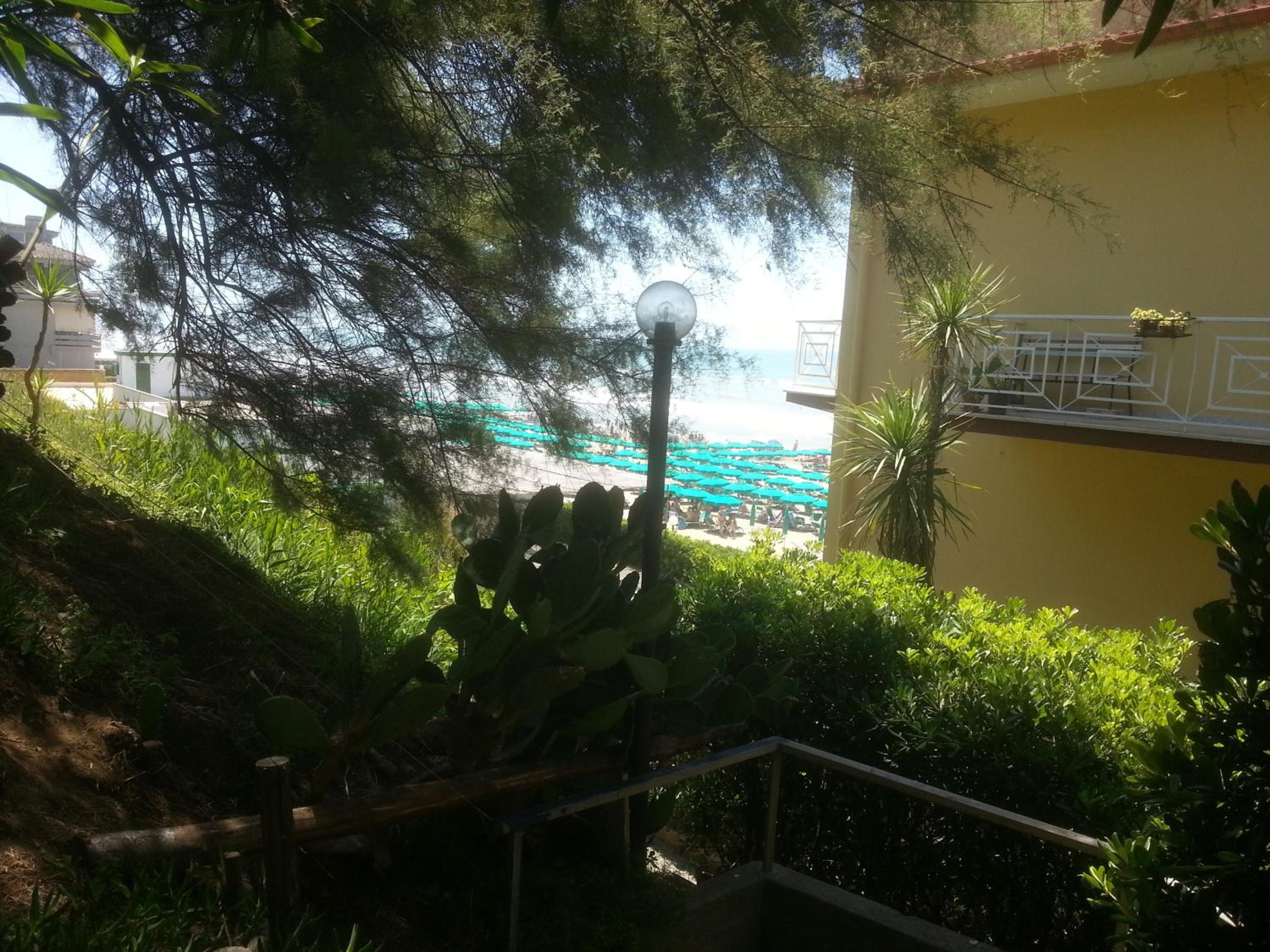Photo 7