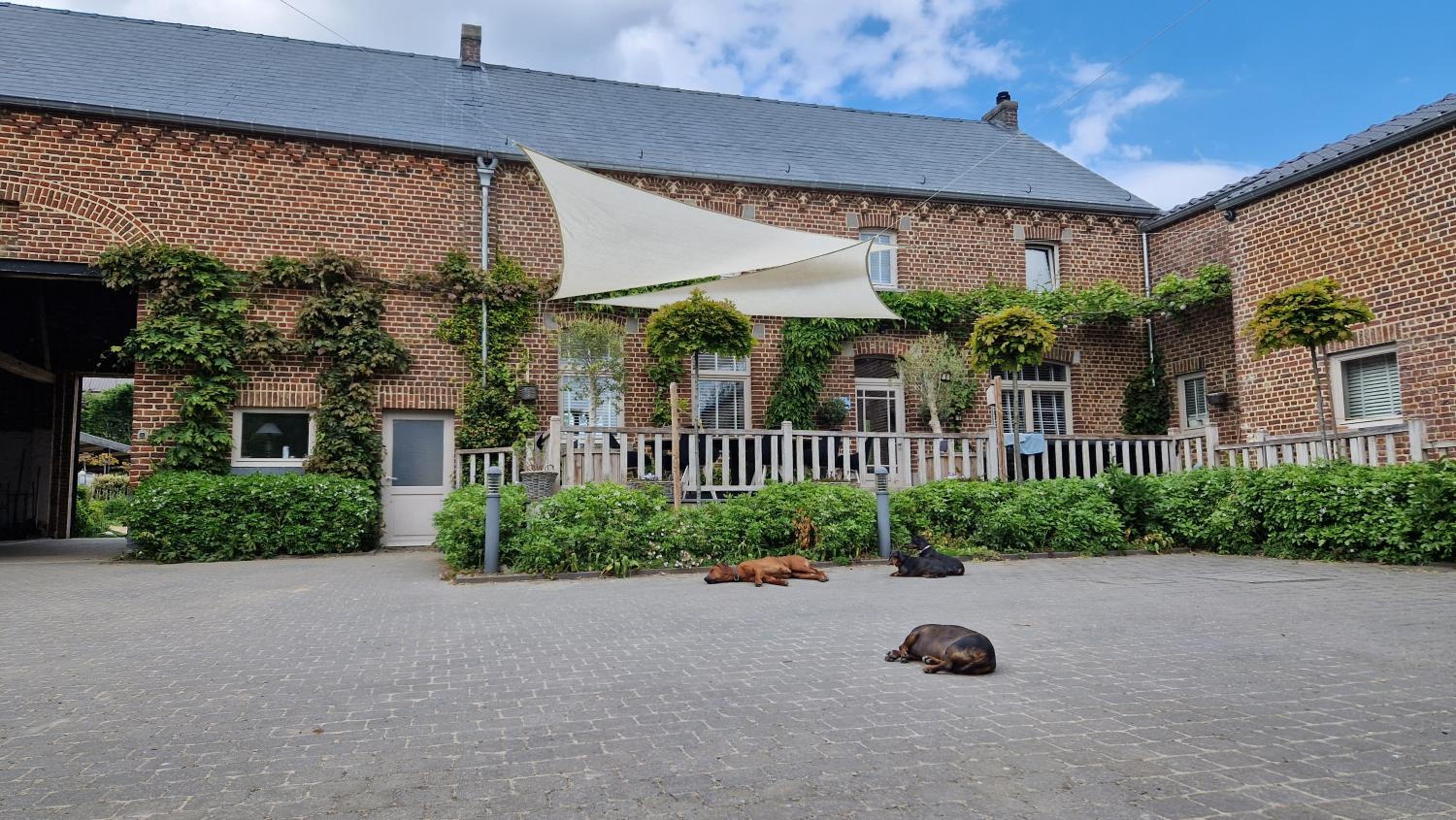 Guesthouse Biolleke
