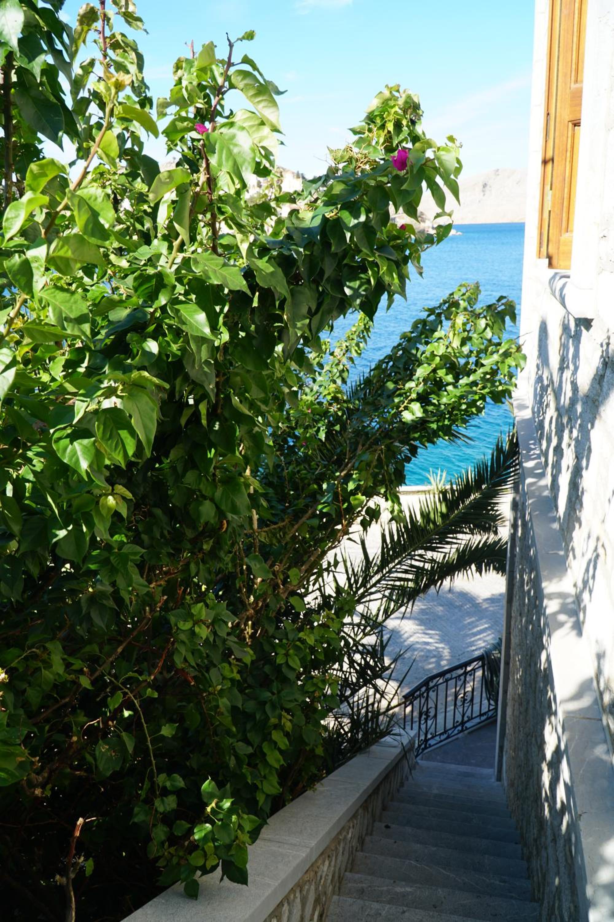 Petalo House