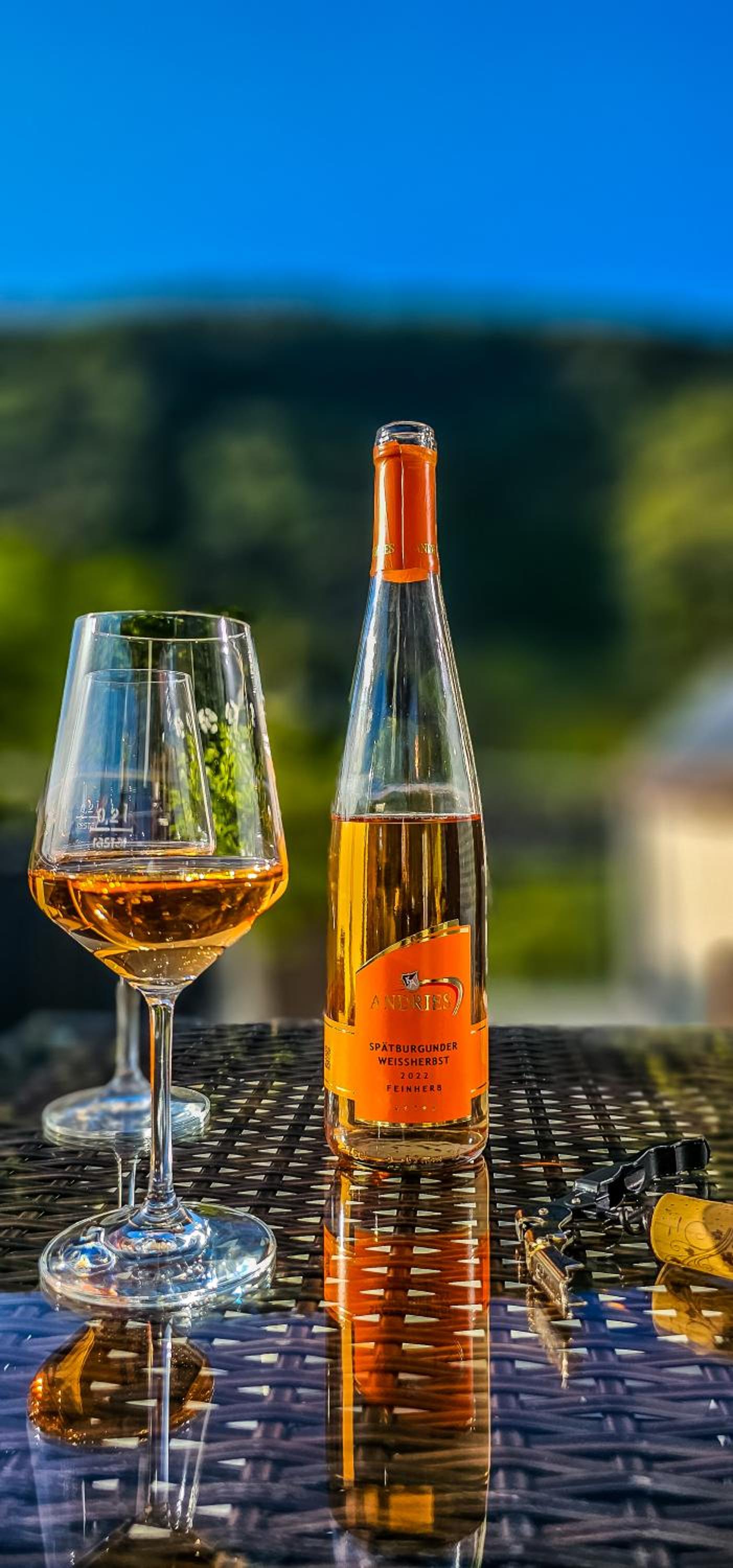 Ferienwohnung - Riesling Ambiente - im Weingut Andries
