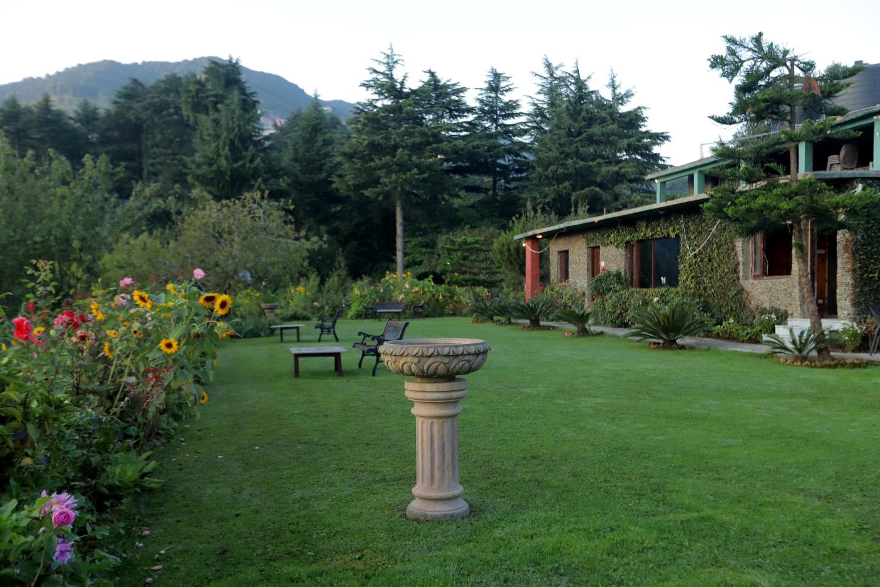 Cedar Lodge By Aahma