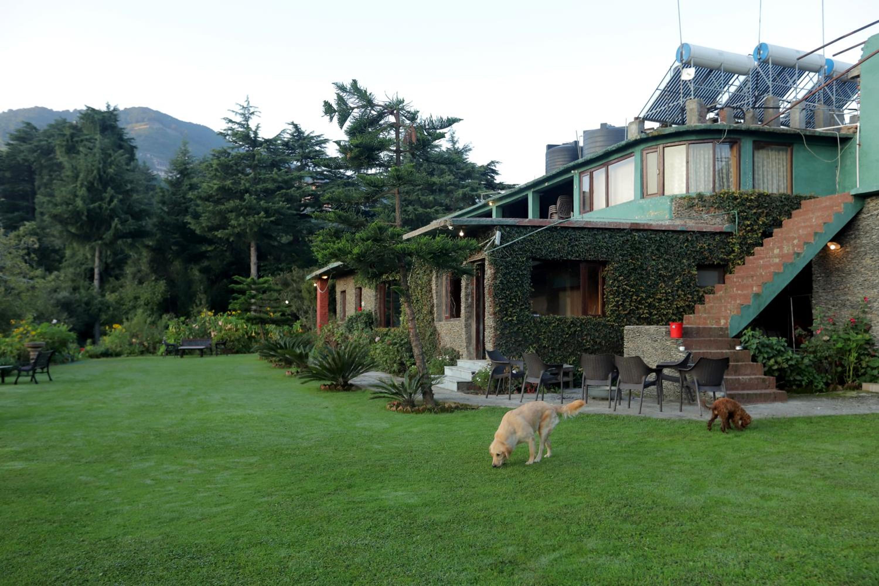 Cedar Lodge By Aahma