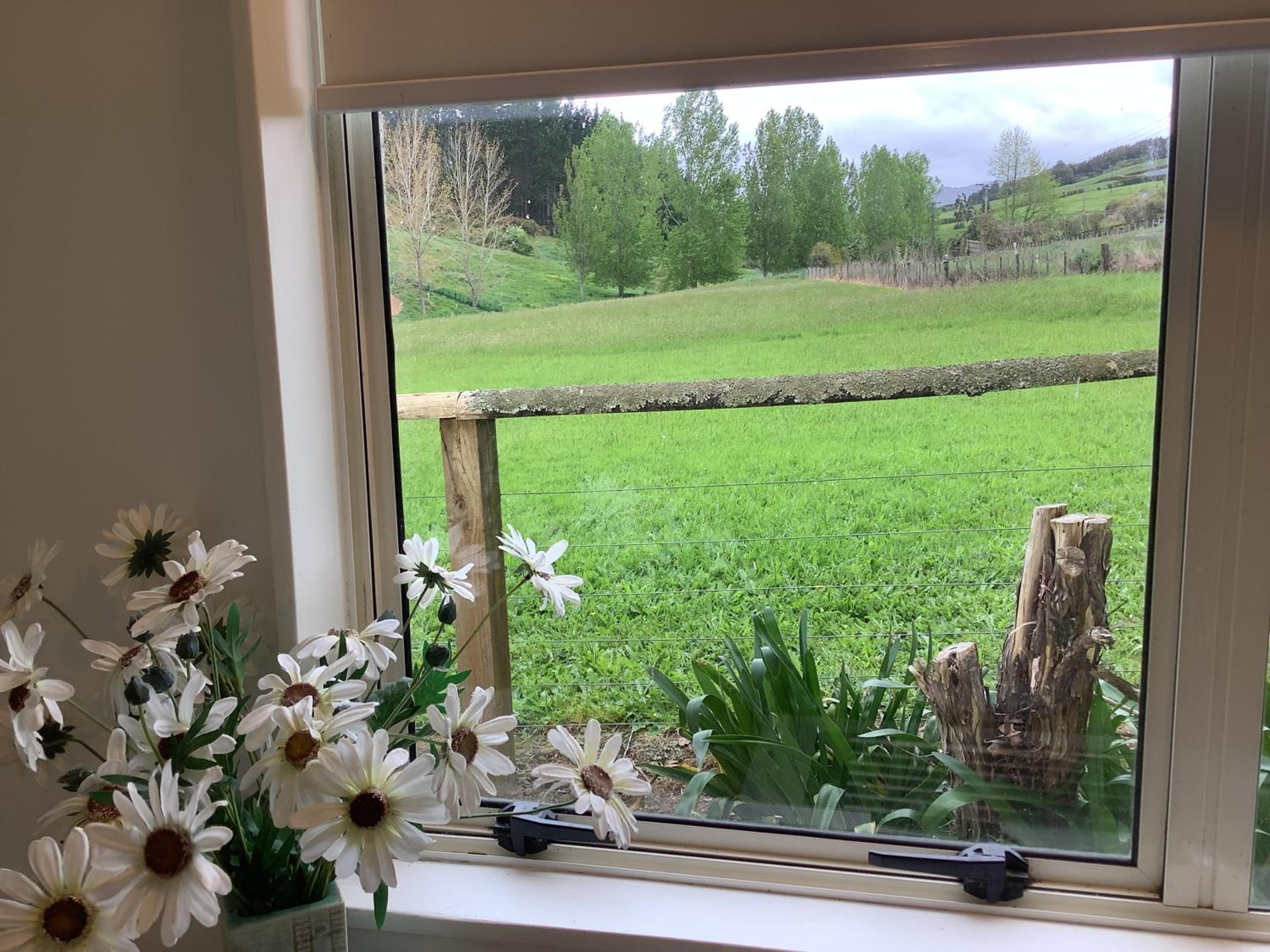 Wood Pigeon Cottage Pet Friendly Free Breakfast Hauraki Rail Trail 2kms