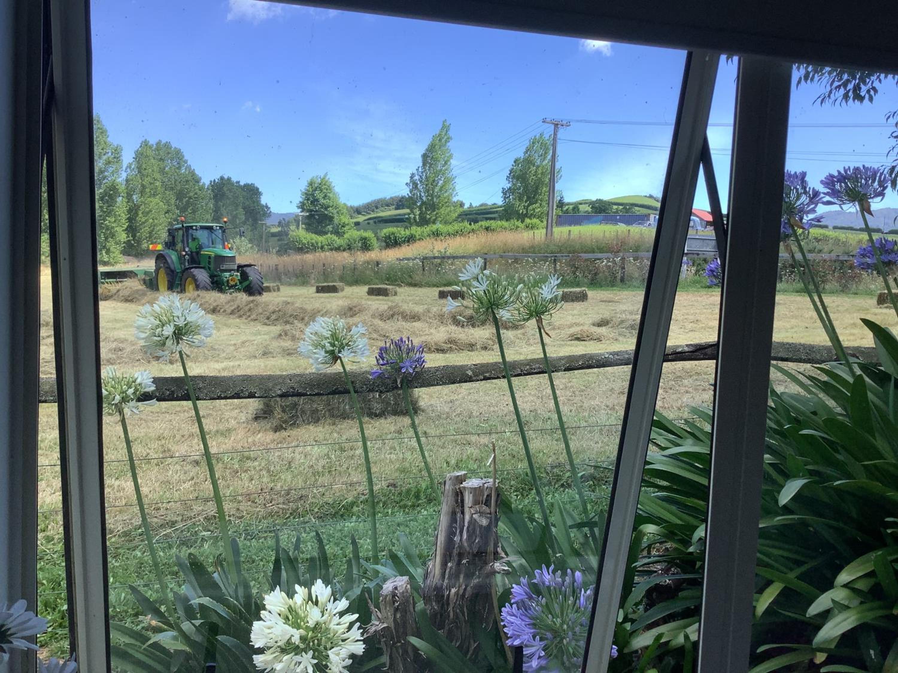 Wood Pigeon Cottage Pet Friendly Free Breakfast Hauraki Rail Trail 2kms
