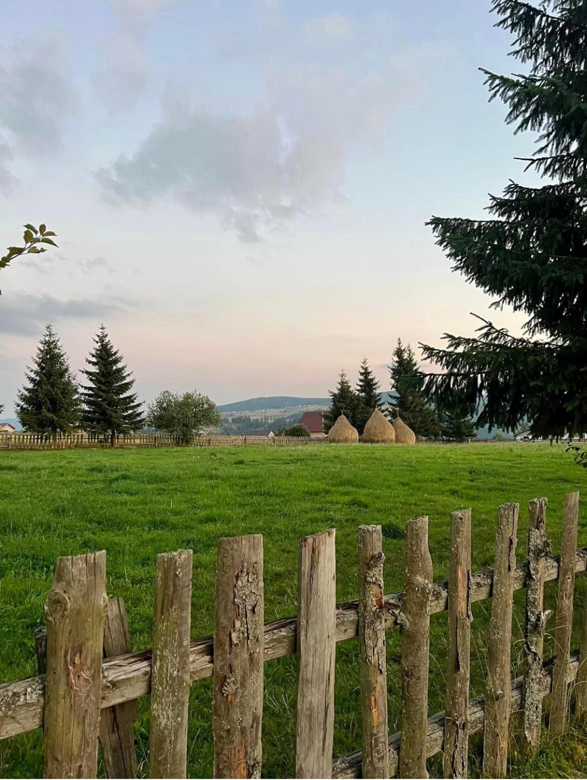 Mokki - A-frame cozy în Apuseni