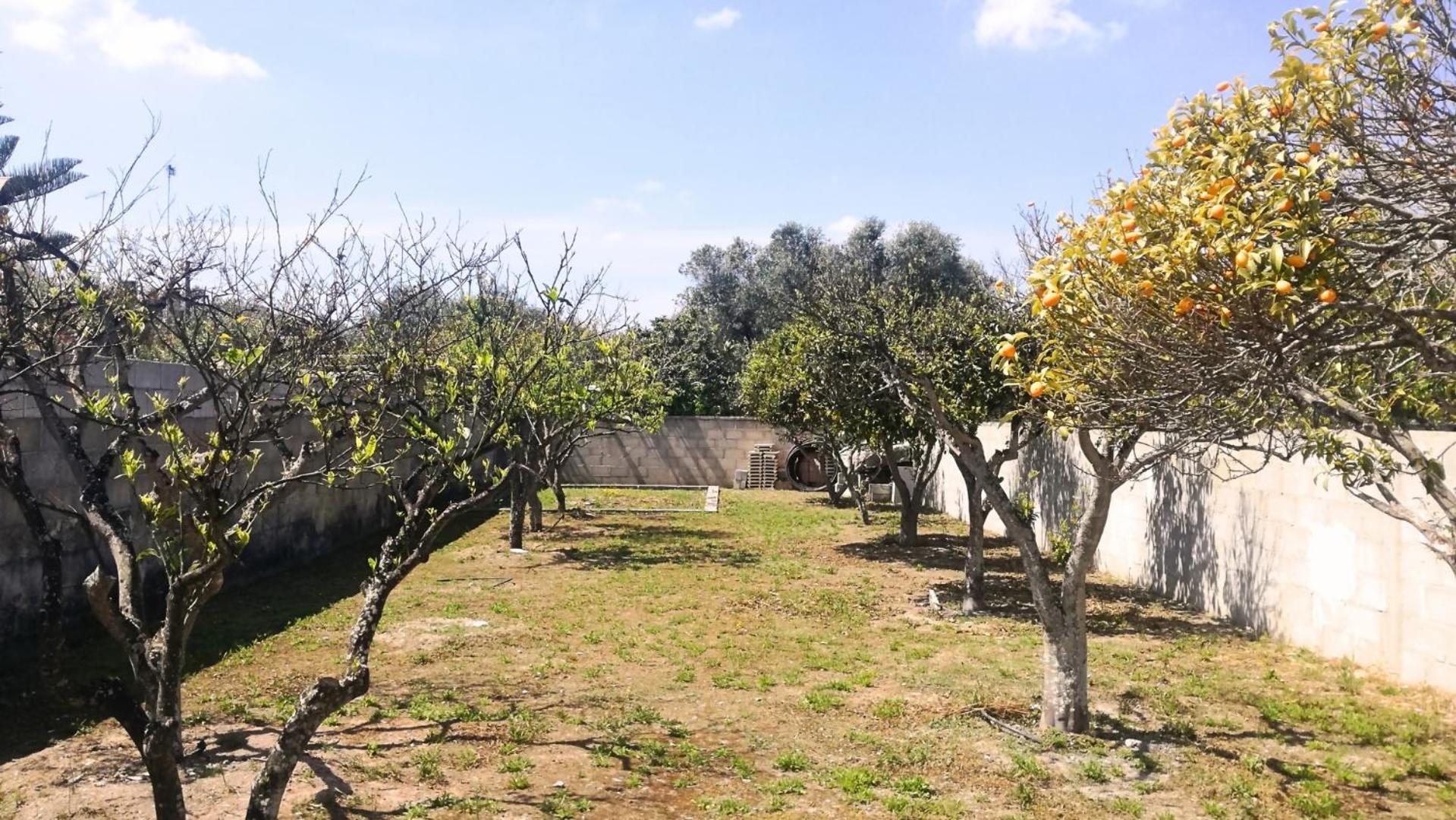 Villetta Lucia CASA VACANZE NEL SALENTO
