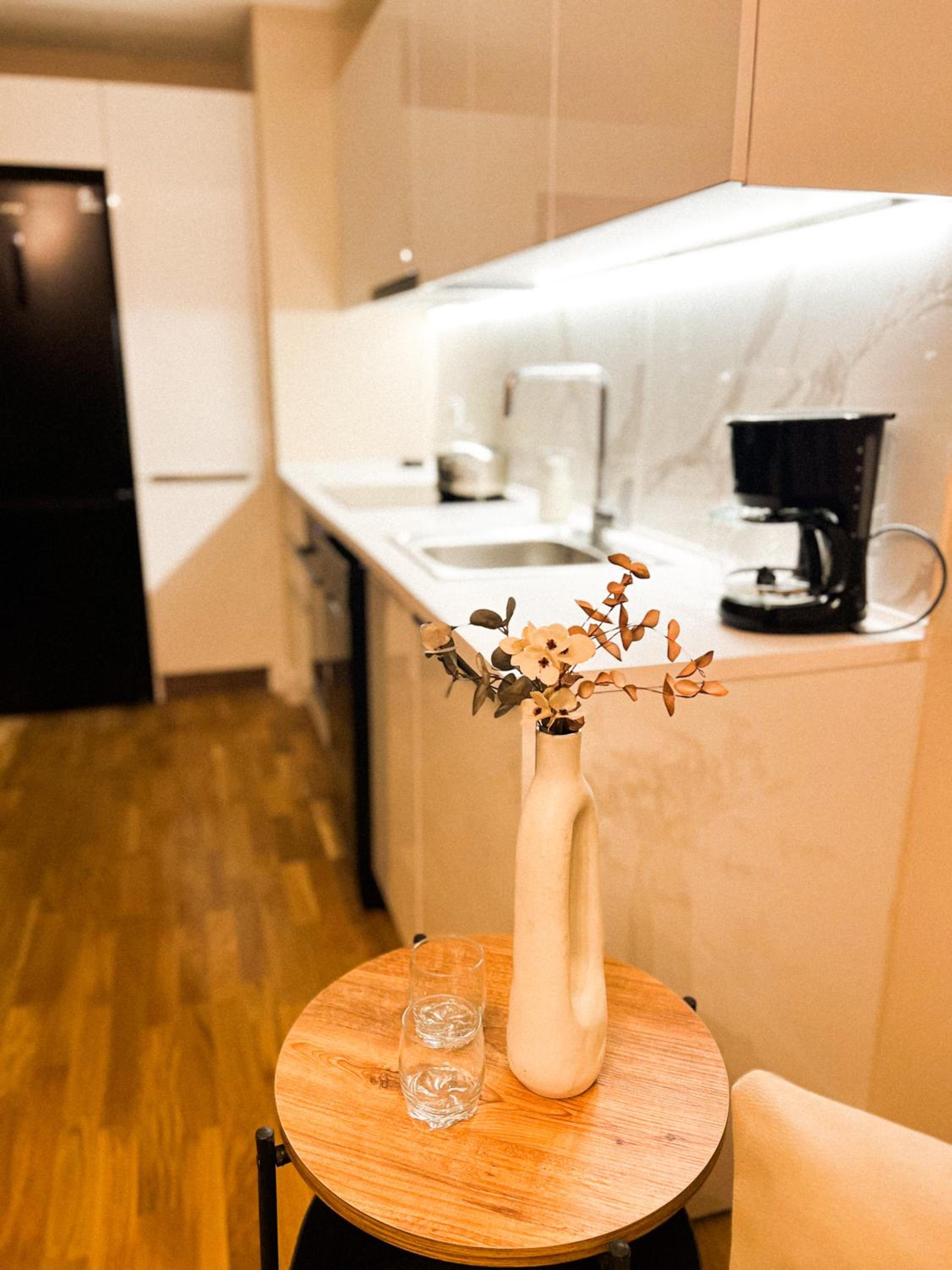 180° View Apartment in Diamond Building Skopje view 3