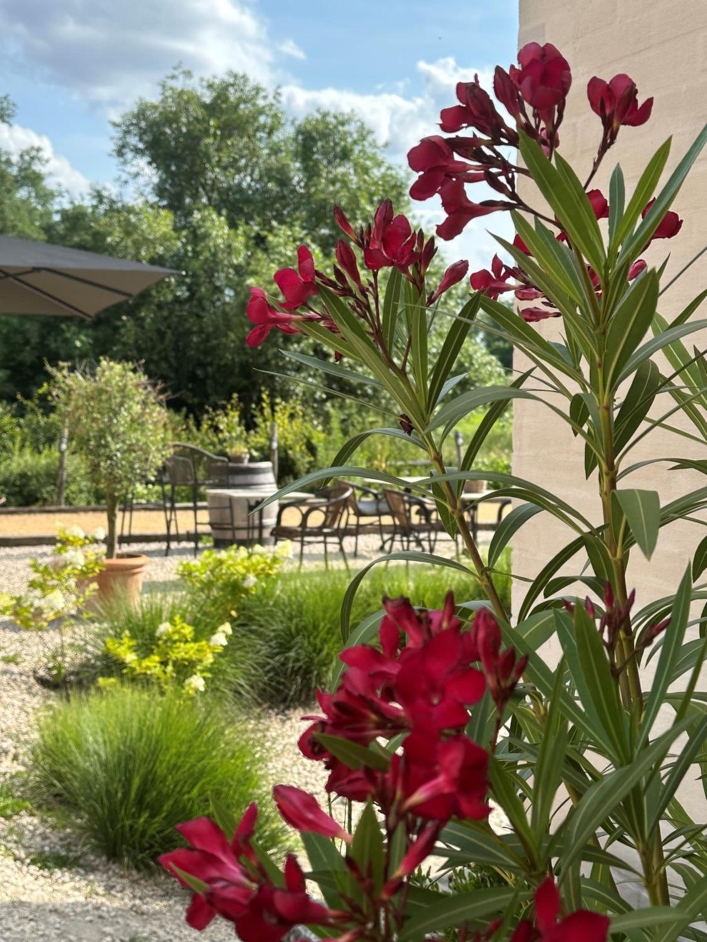 B & B De Romeinse Katzei