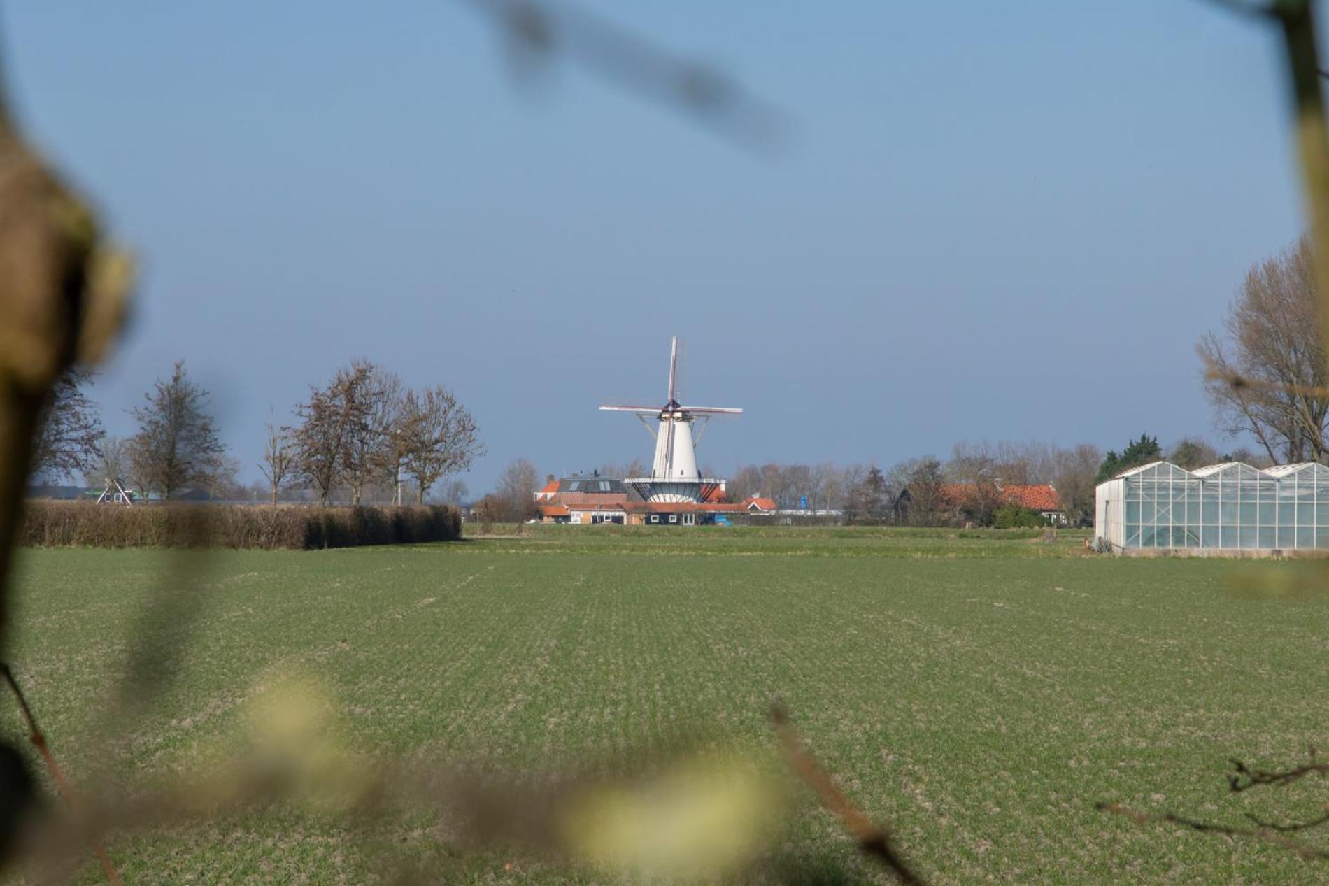 Photo 27
