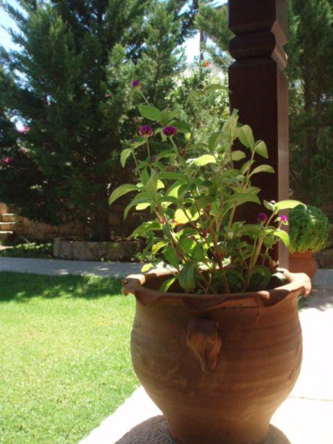 Photo 52