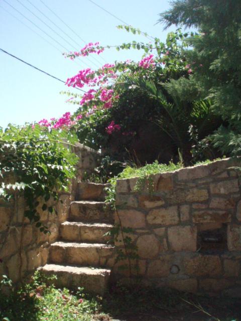 Photo 53