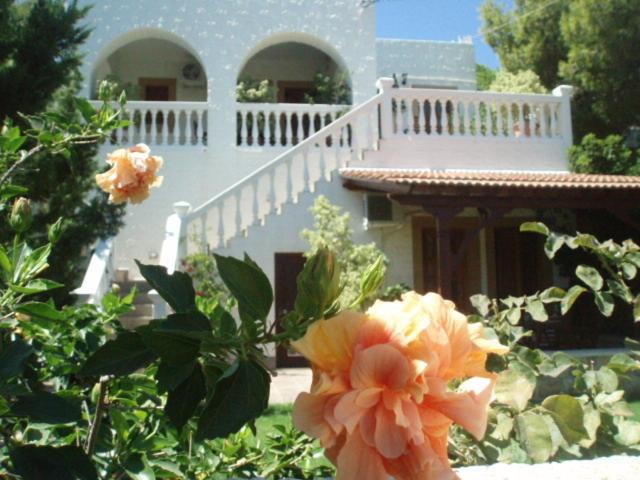 Photo 54