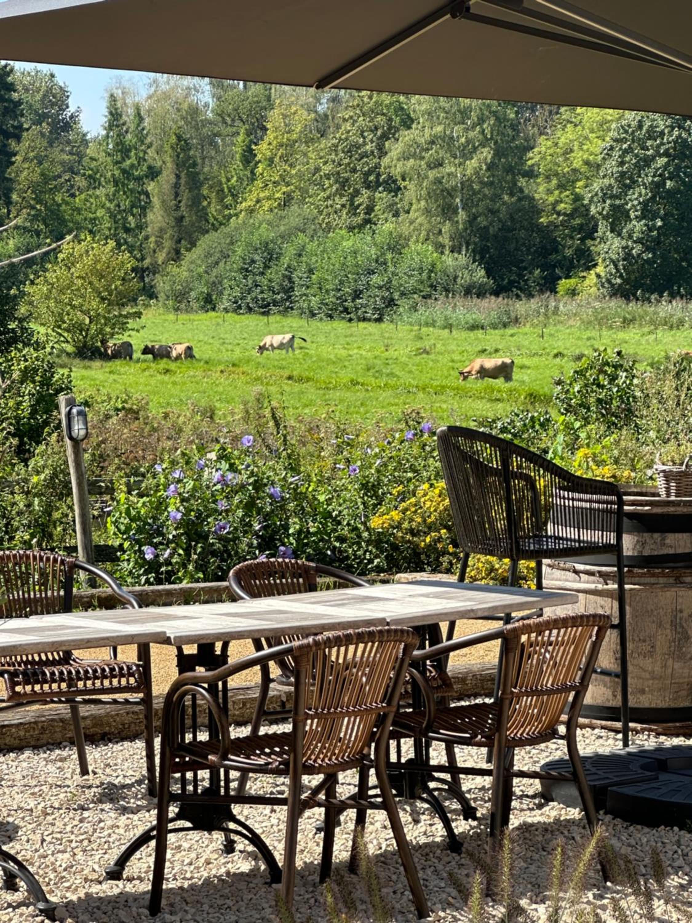 B & B De Romeinse Katzei