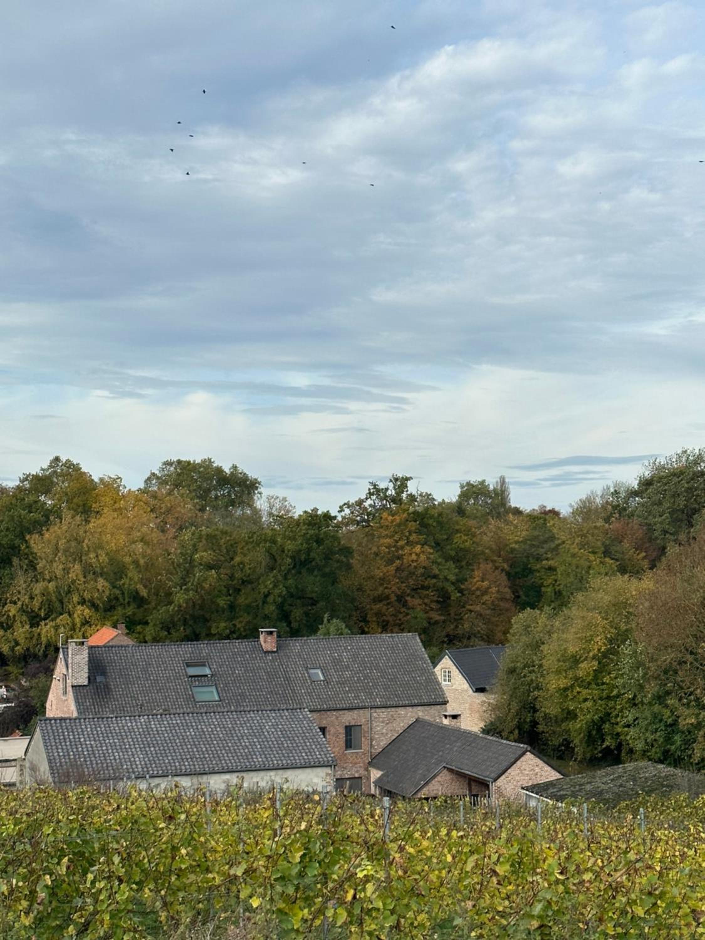 B & B De Romeinse Katzei