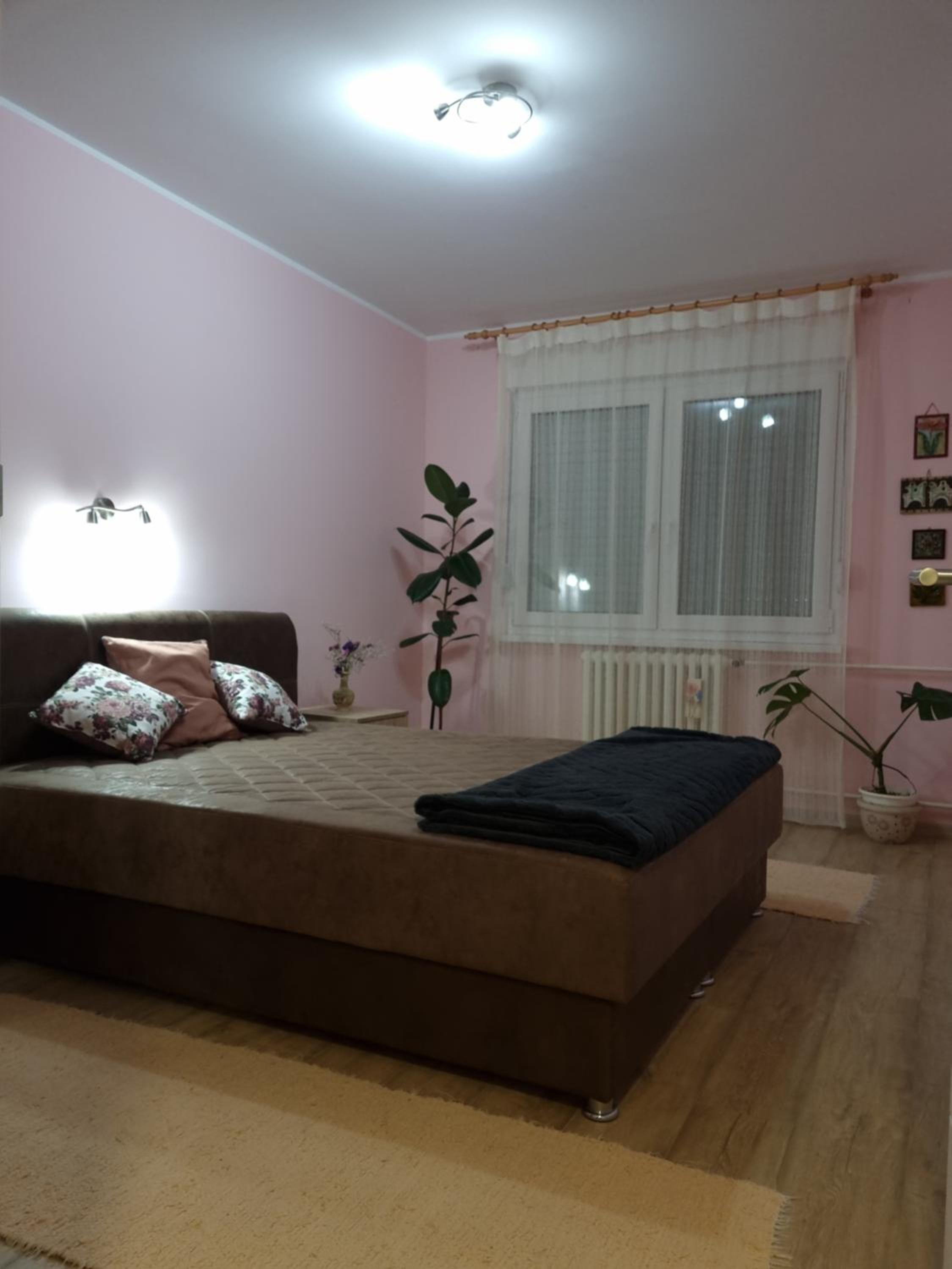 Bulevar NS - Stan u blizini železnike stanice i Sajma view 3