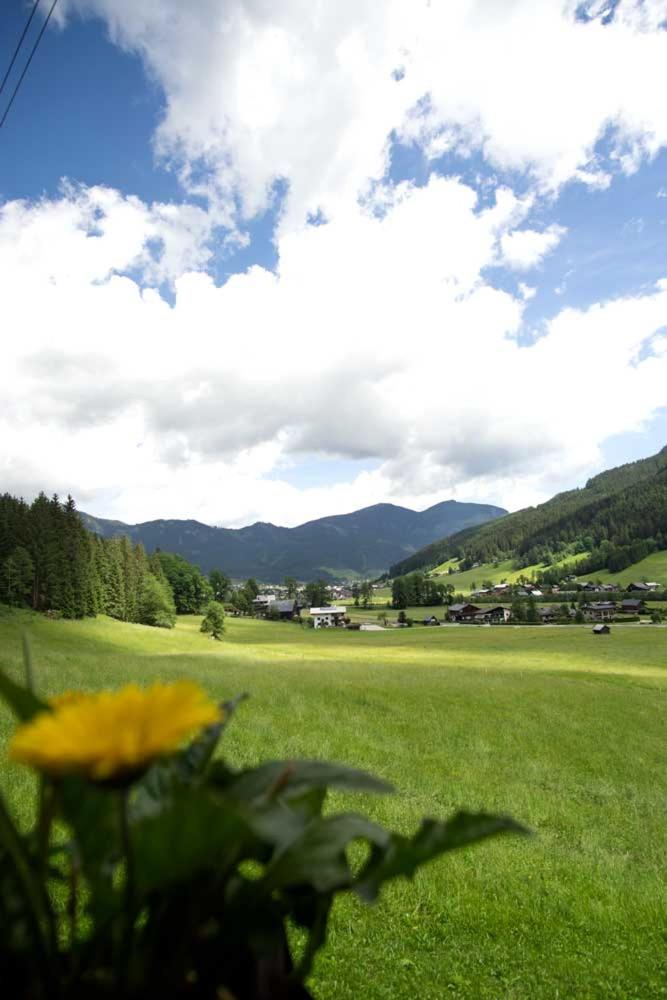 Ferienhaus Asterbach