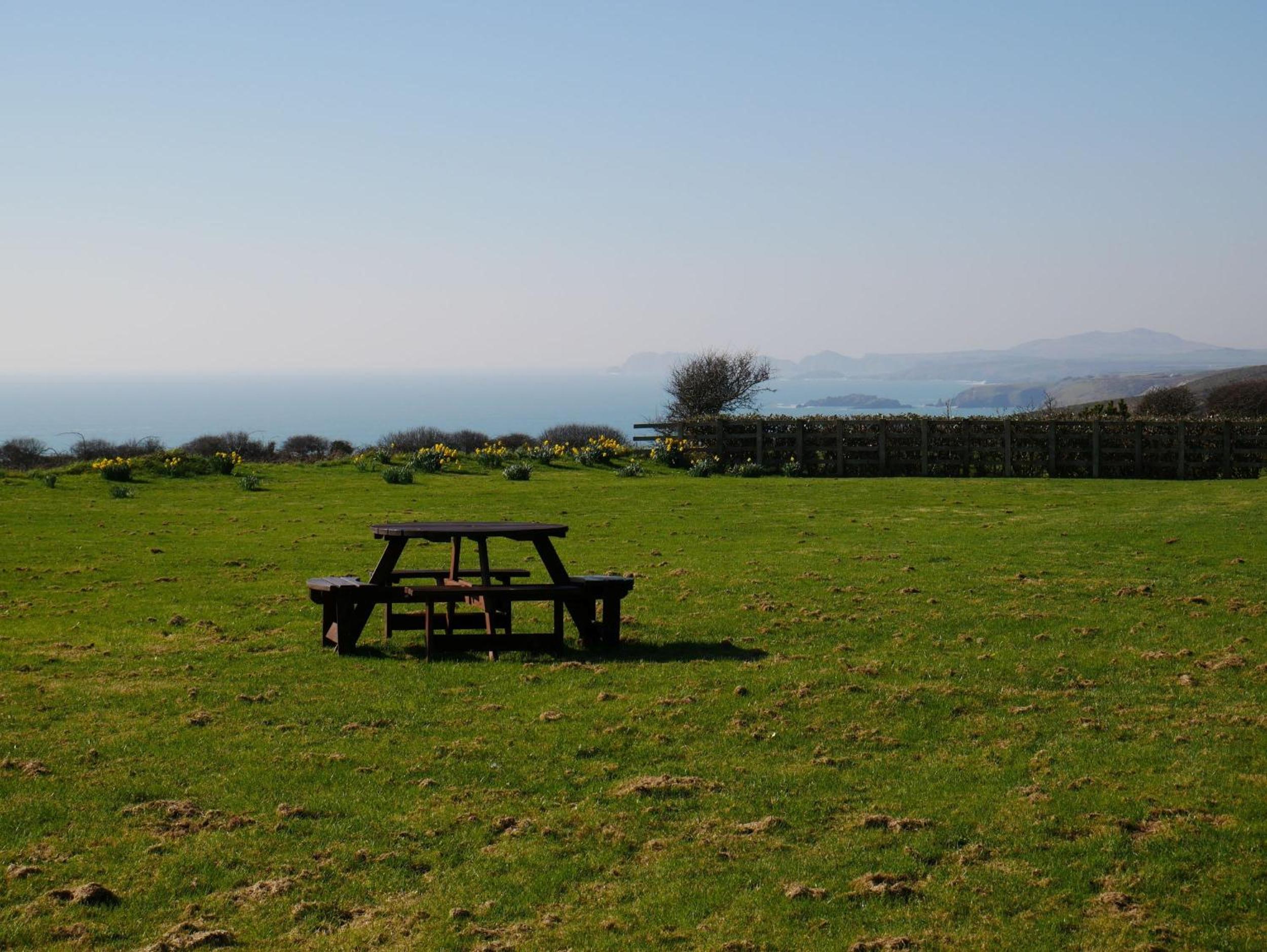 St Brides View Solva view 4