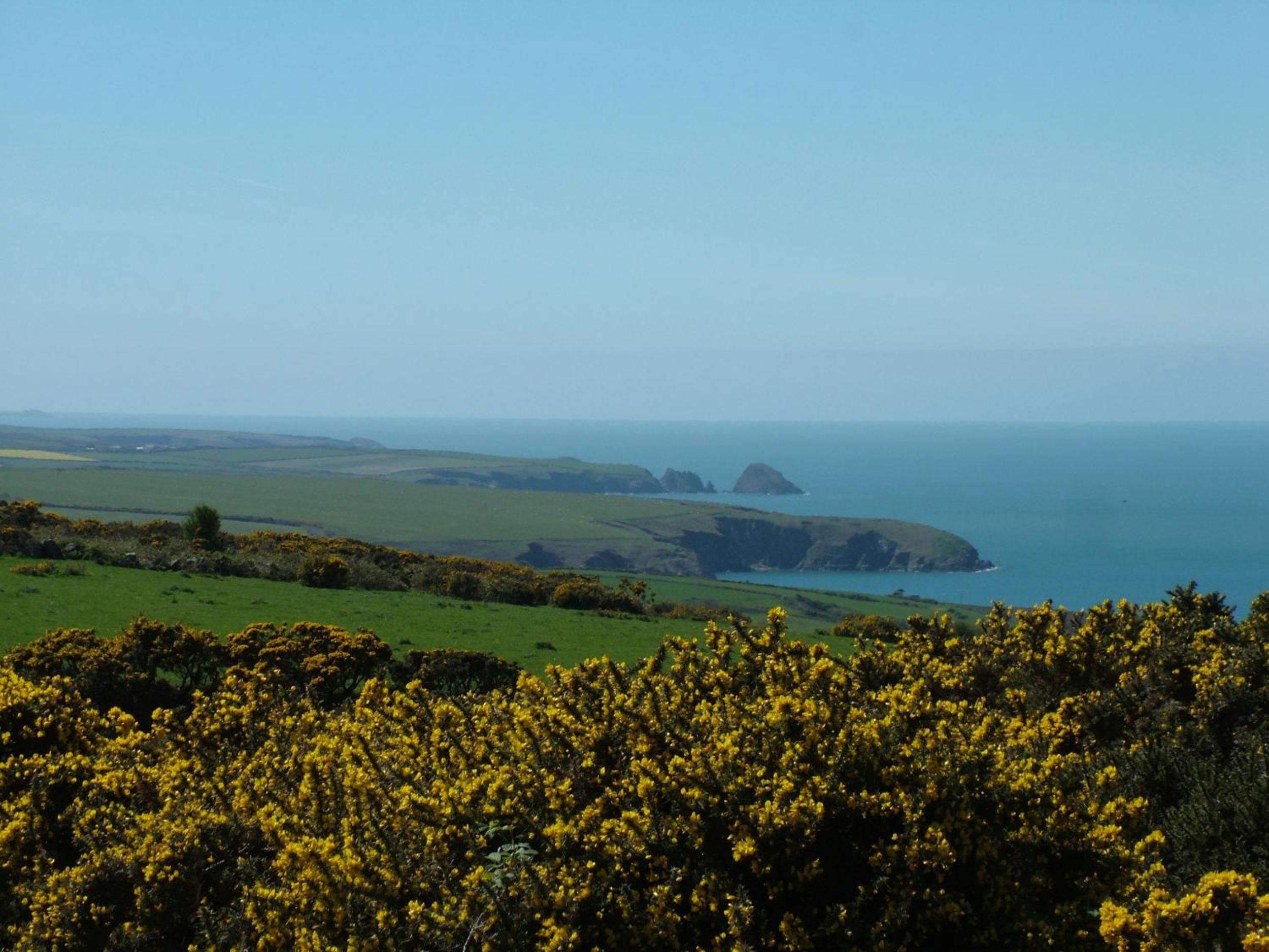 Y Bwthyn Fishguard view 3