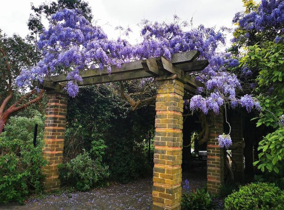 Lovely 2BR in peaceful Hampstead, NW London
