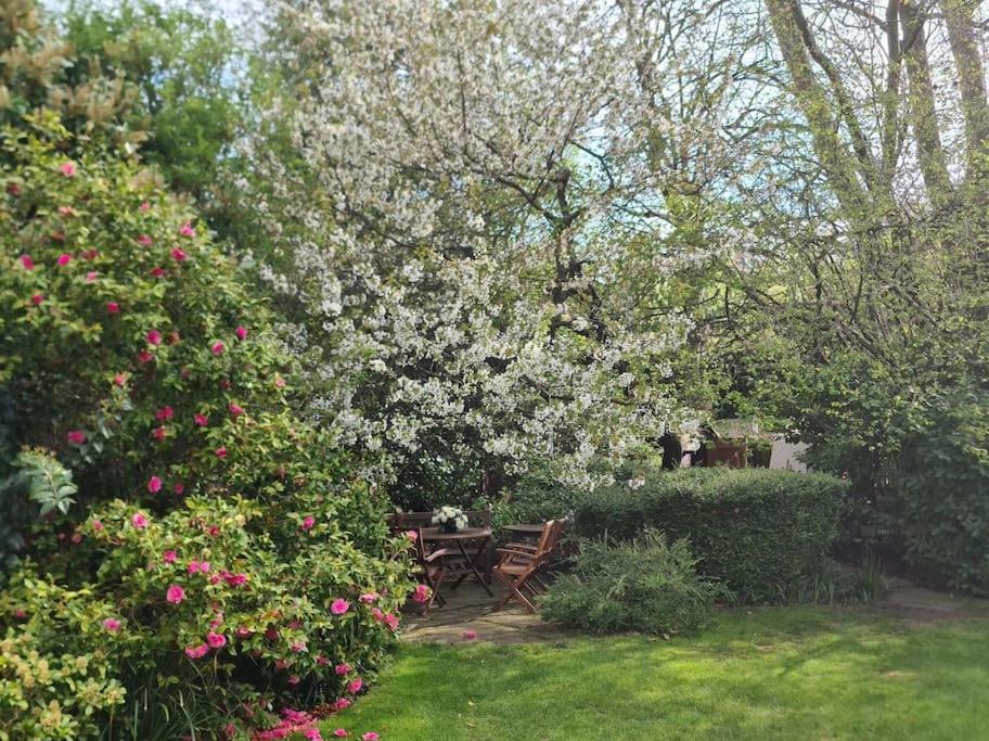 Lovely 2BR in peaceful Hampstead, NW London