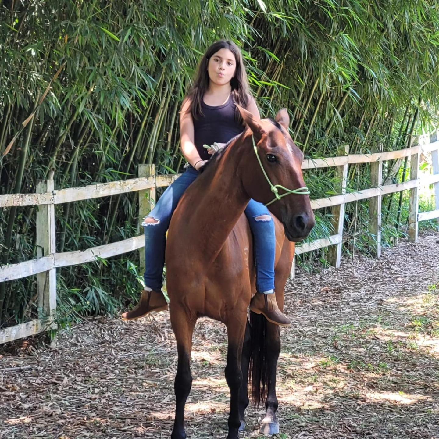Pousada Rancho Fazenda