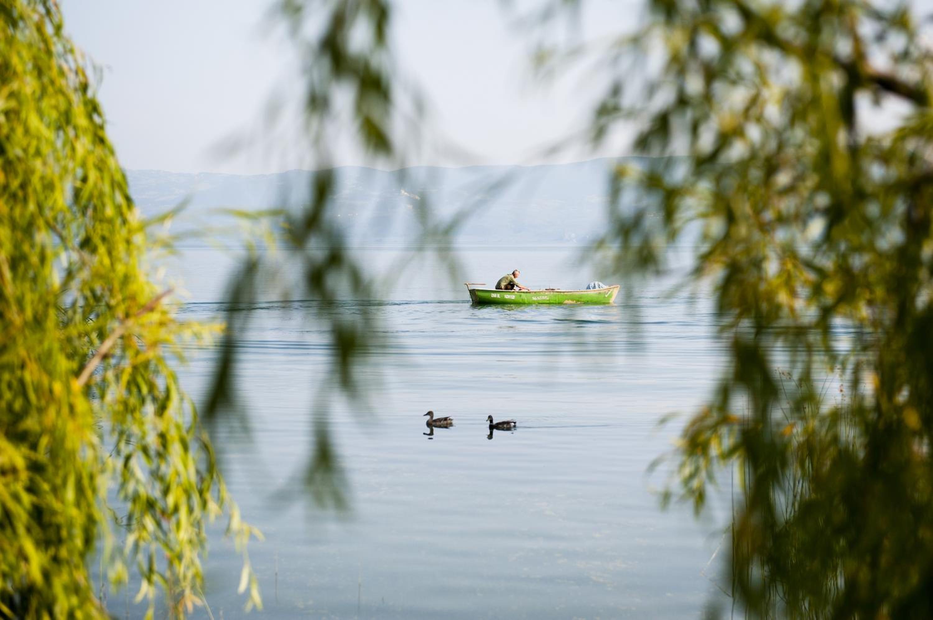 Iznik Askania — photo 4