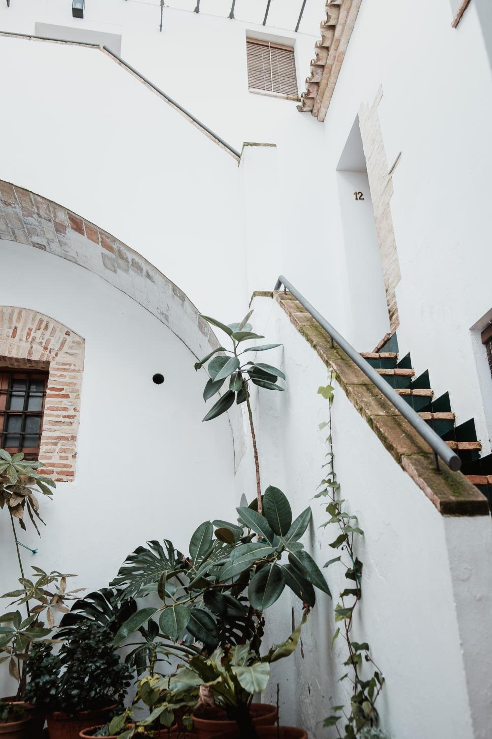 FRENTEABASTOS Boutique