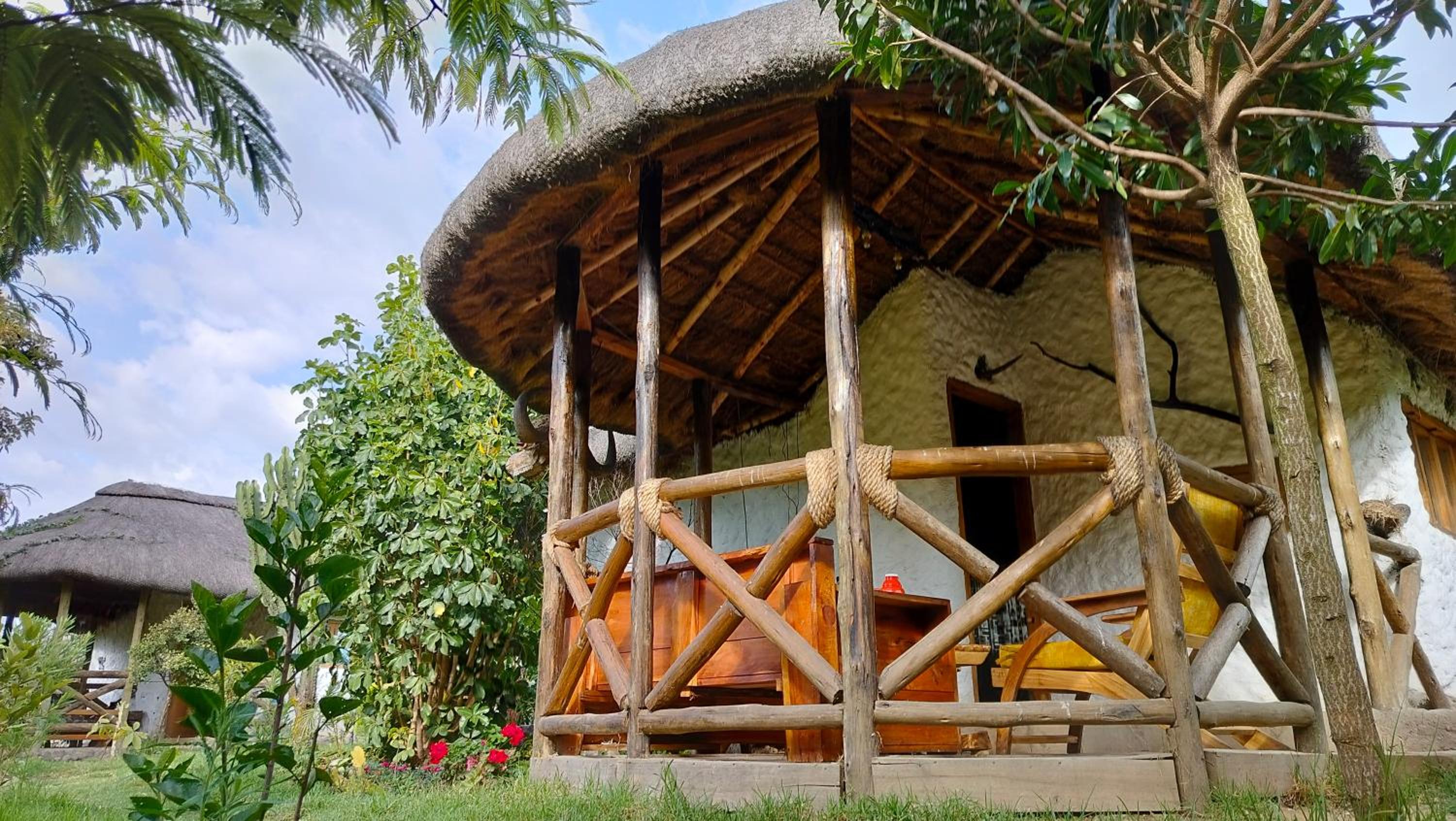 Podocarpus cottages