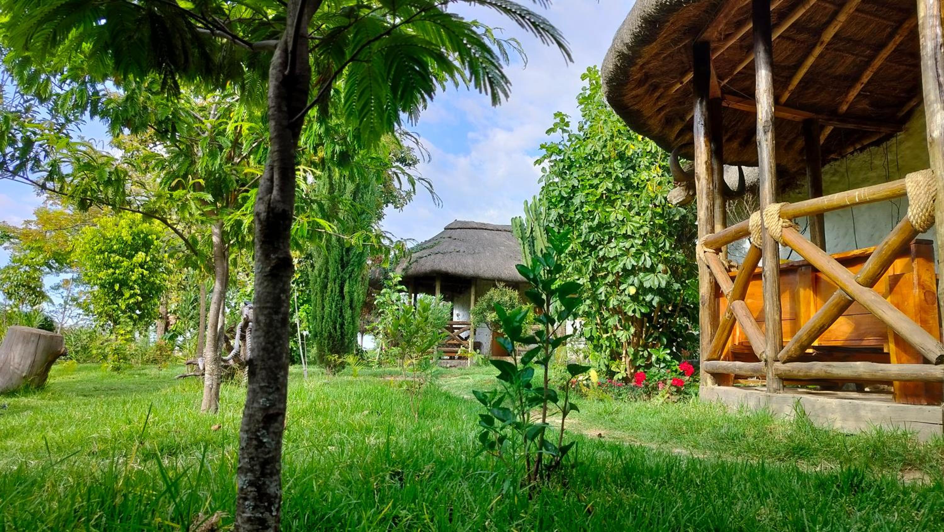Podocarpus cottages