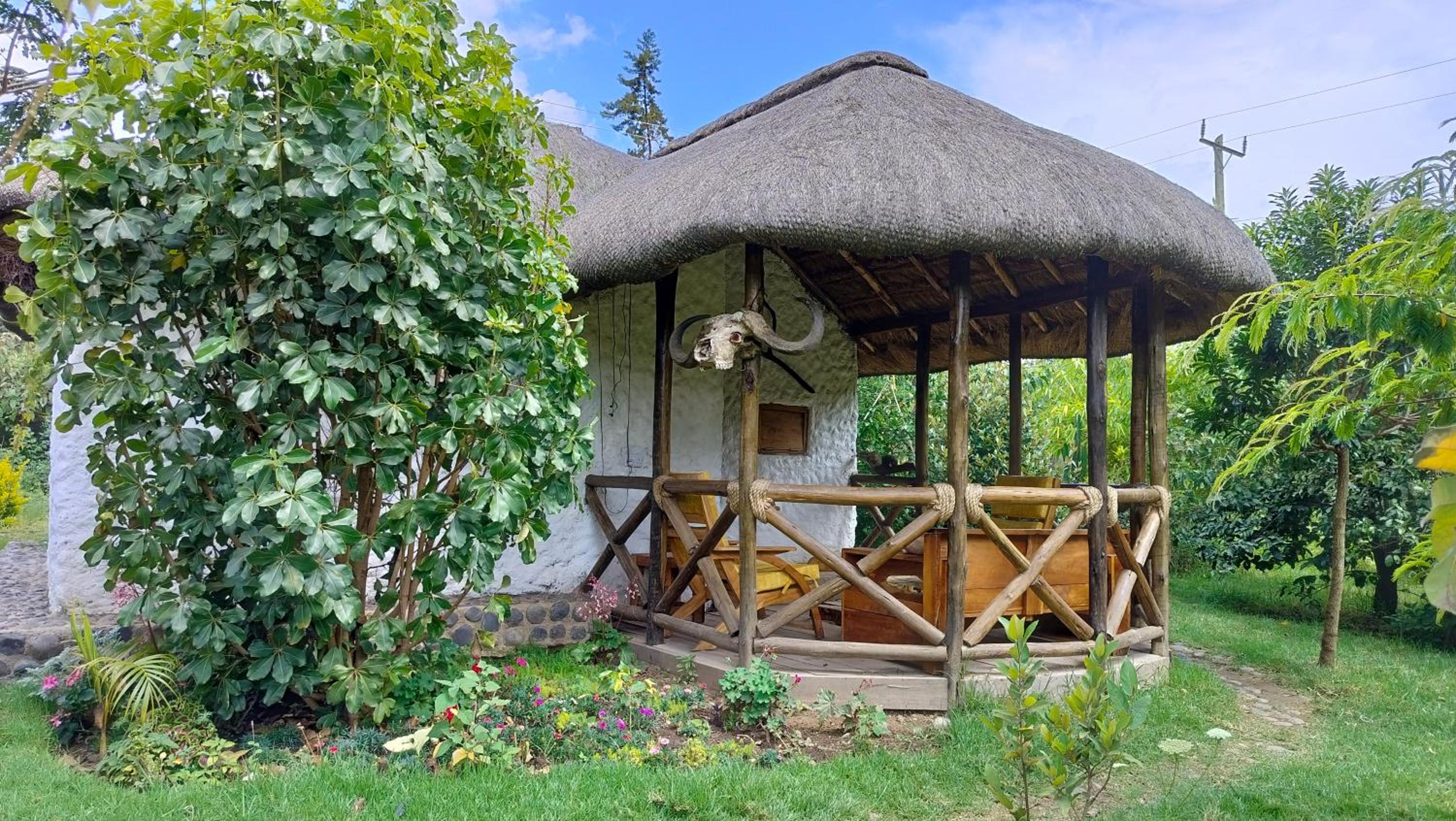 Podocarpus cottages