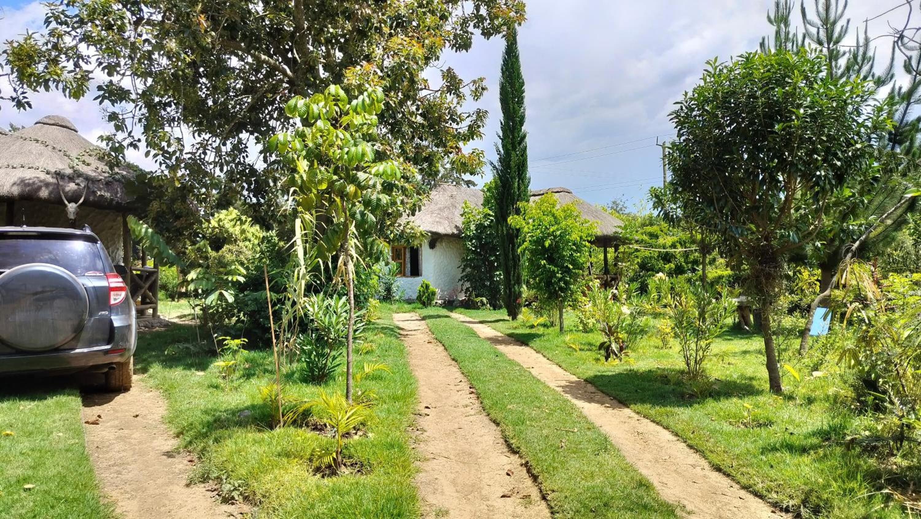 Podocarpus cottages