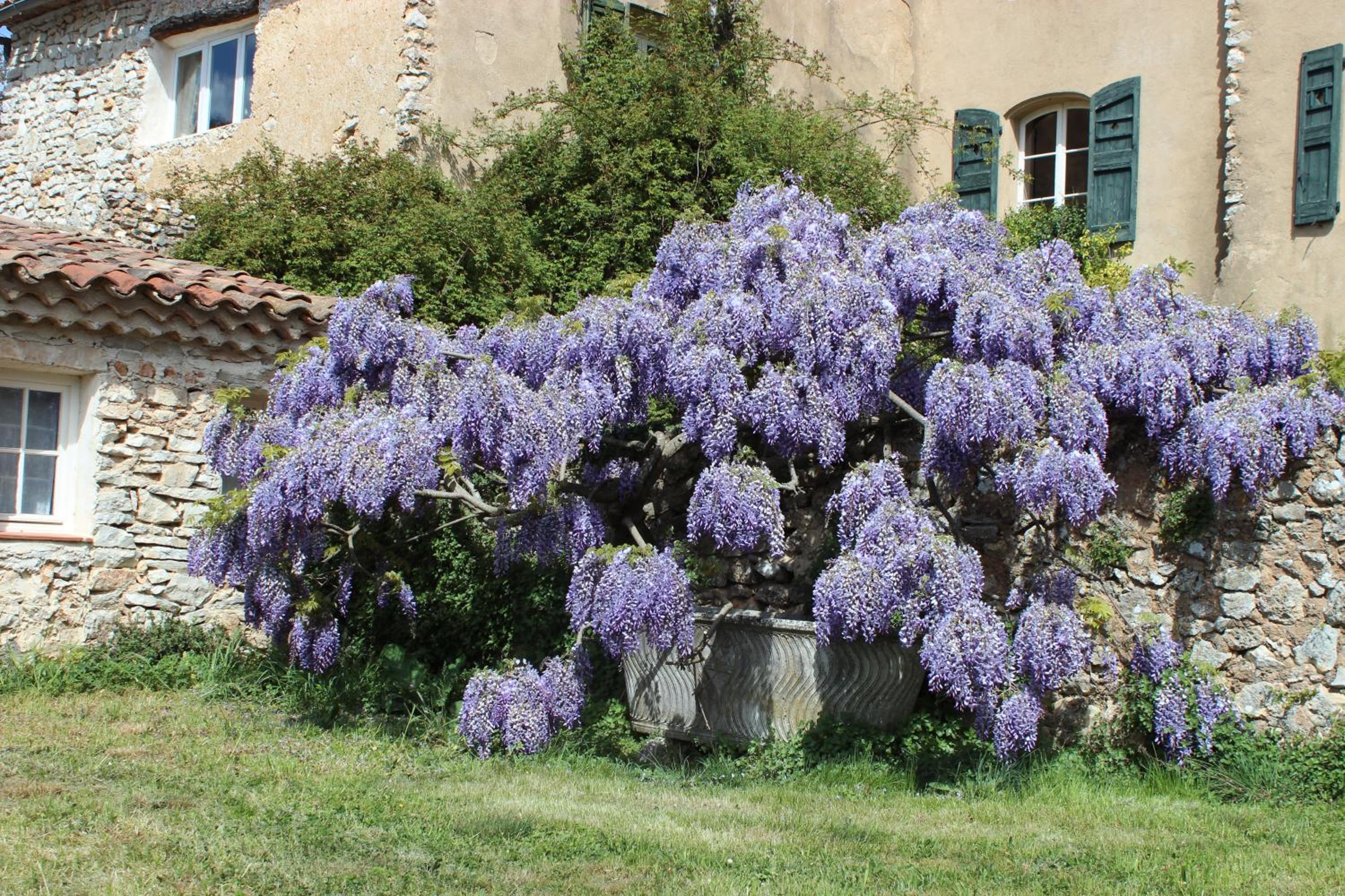 Photo 49