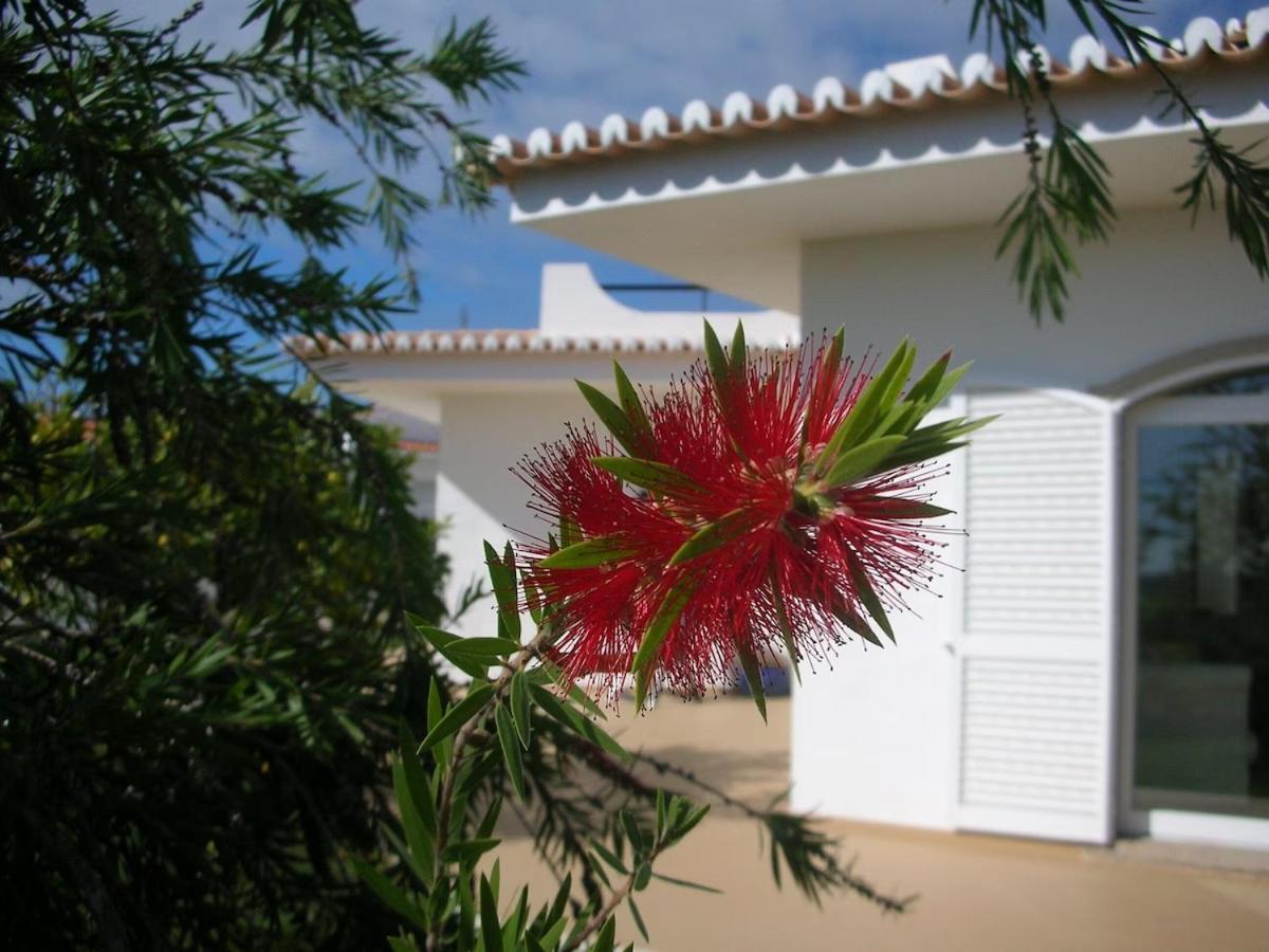 Casa Limão
