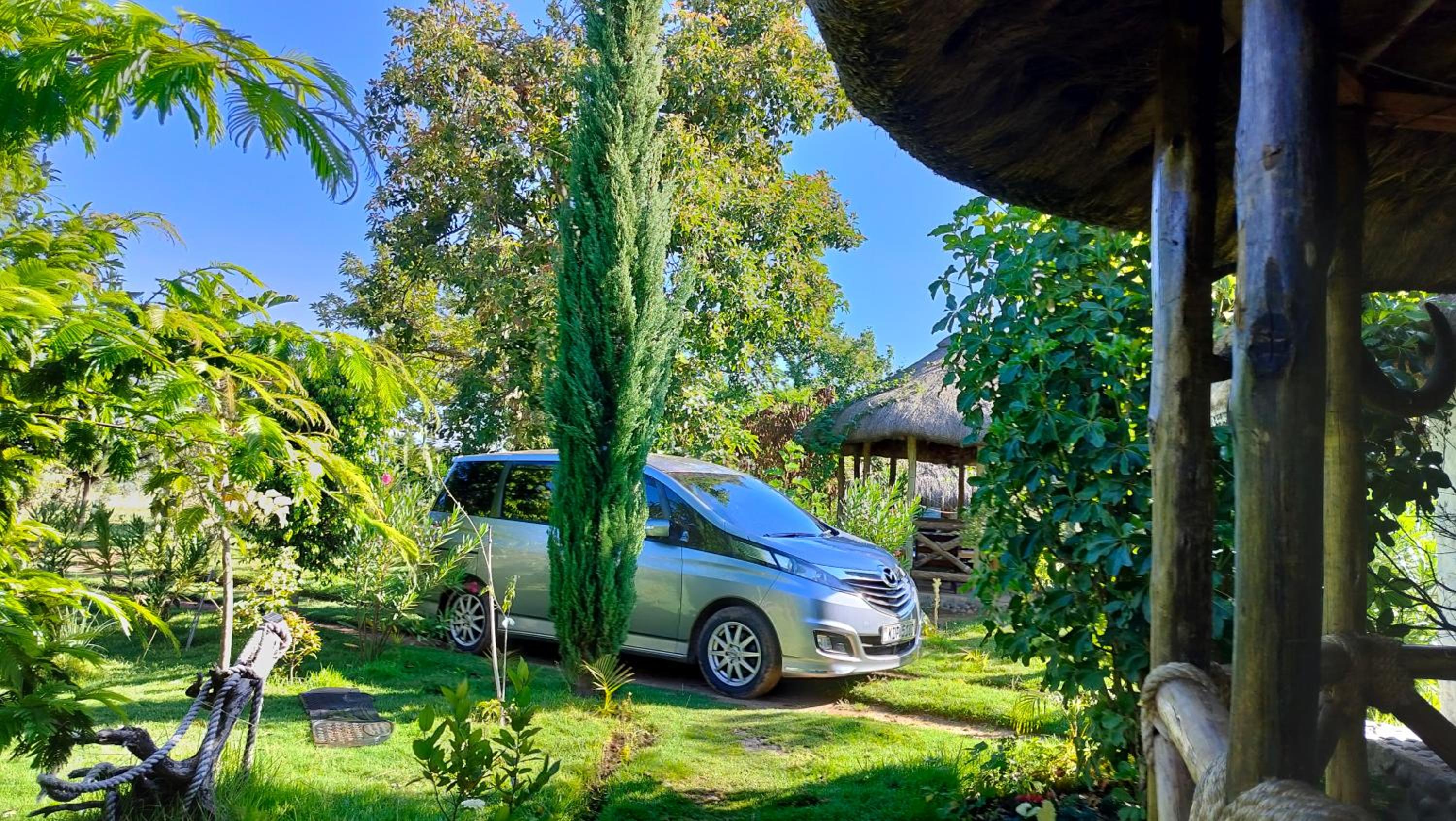 Podocarpus cottages
