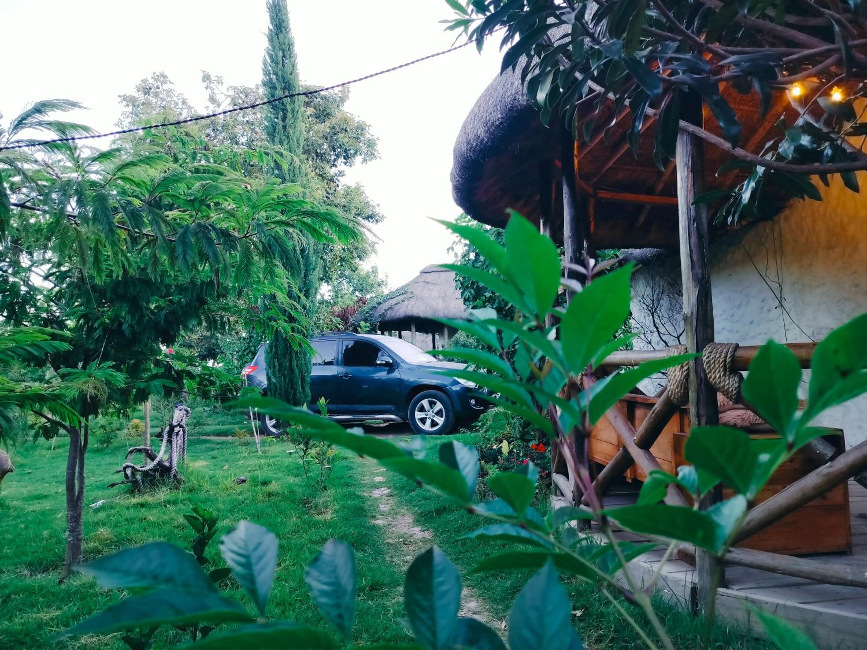 Podocarpus cottages