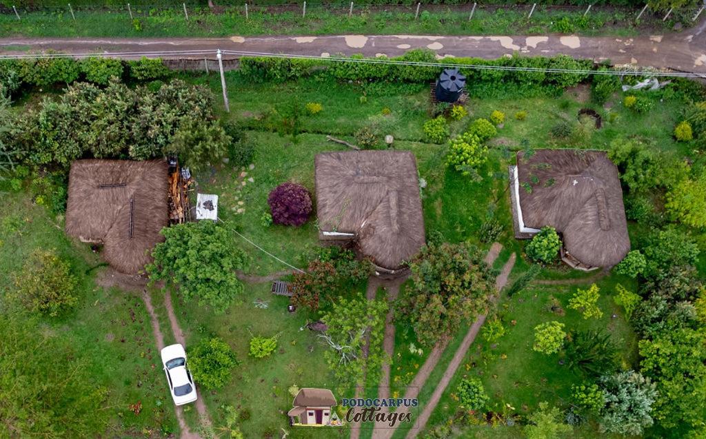 Podocarpus cottages