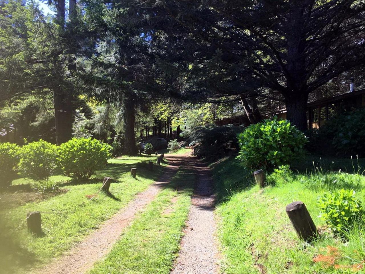 Cabanas Mapulauquen