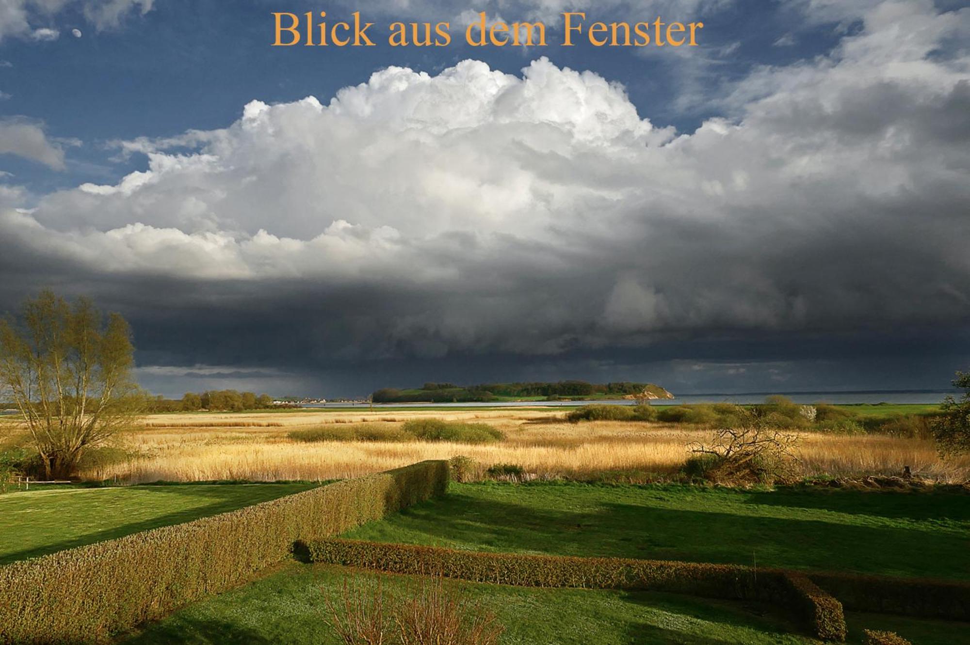 Inselliebe