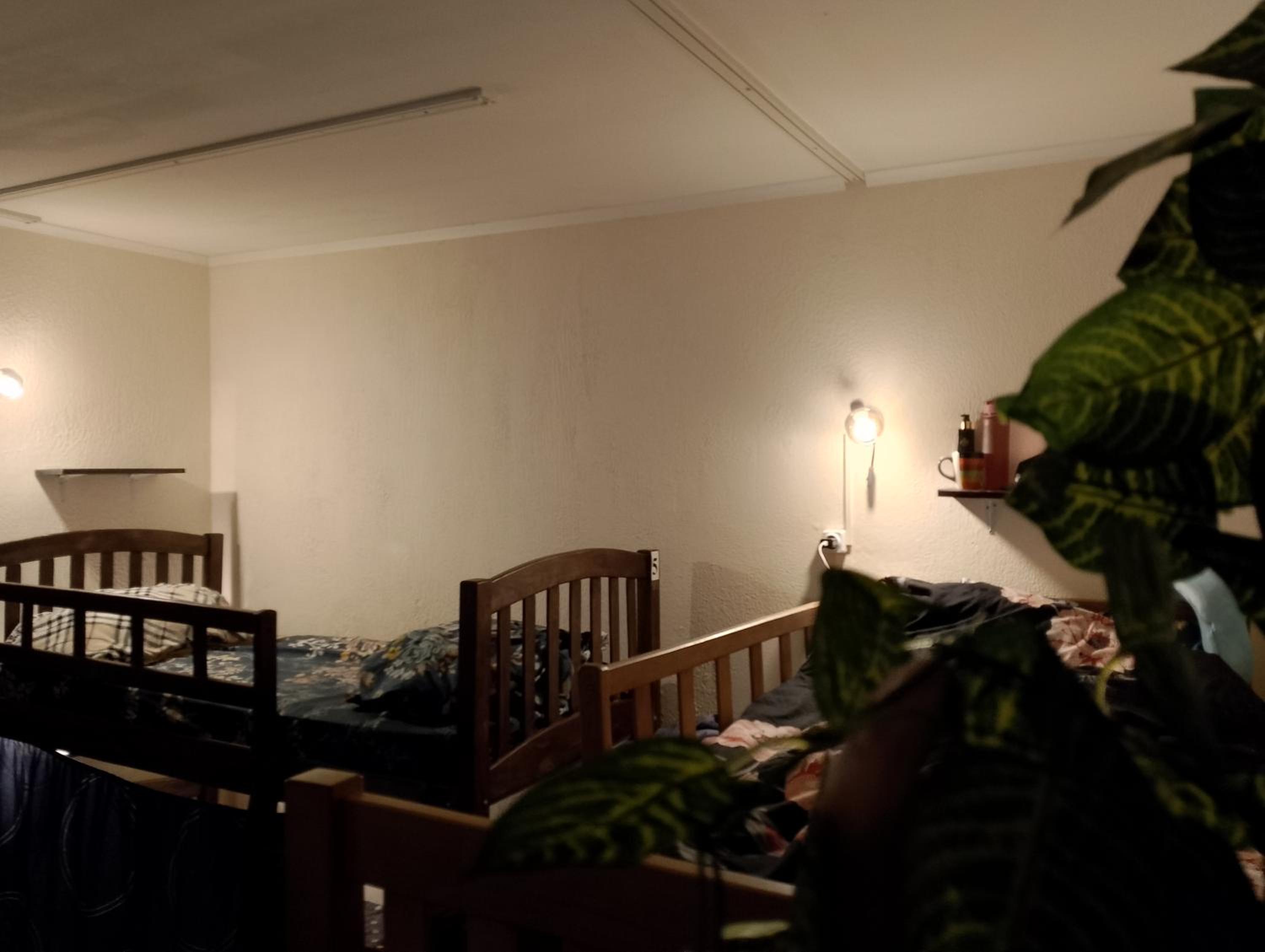 Photo 40